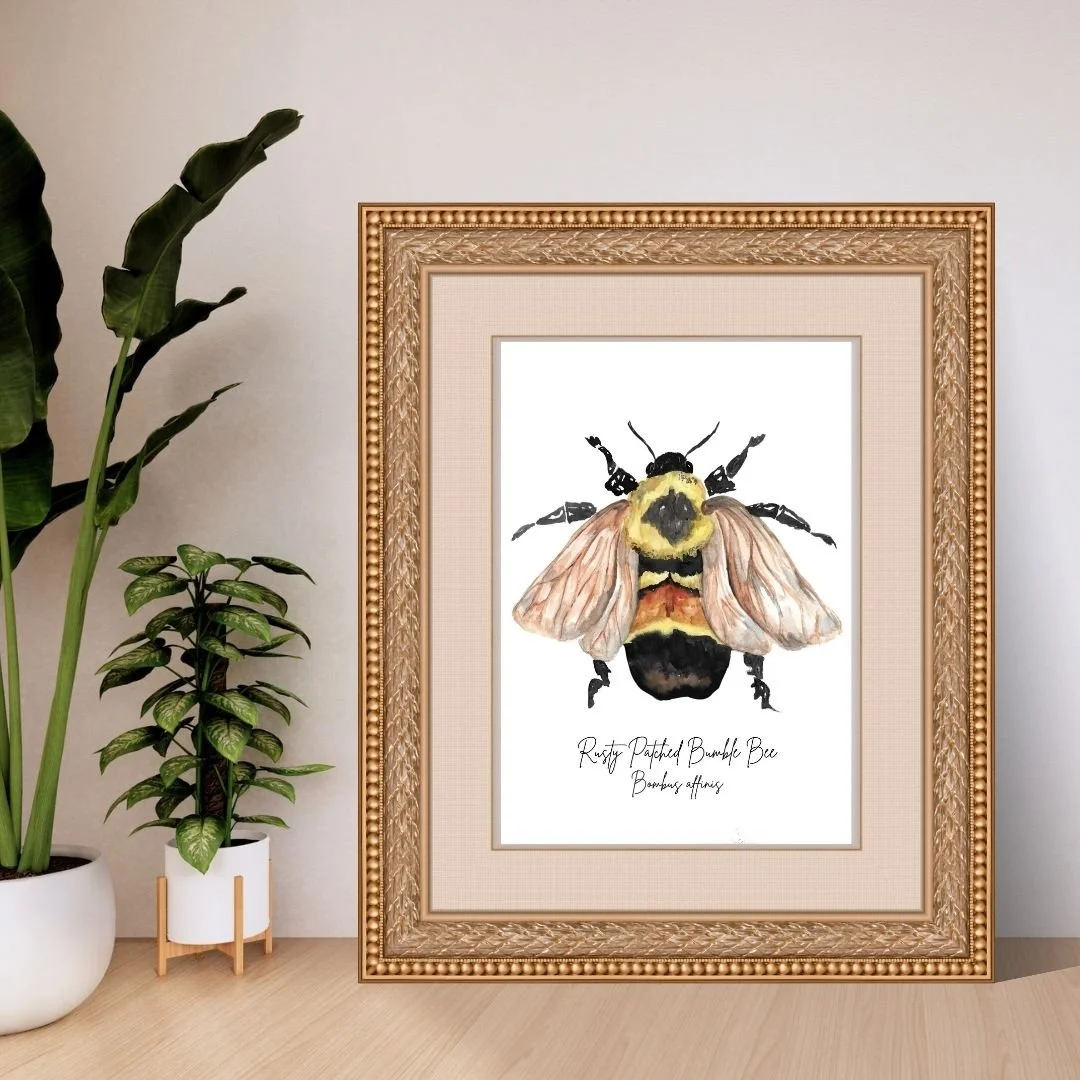 Rusty Patched Bumblebee - Minnesota State Symbols