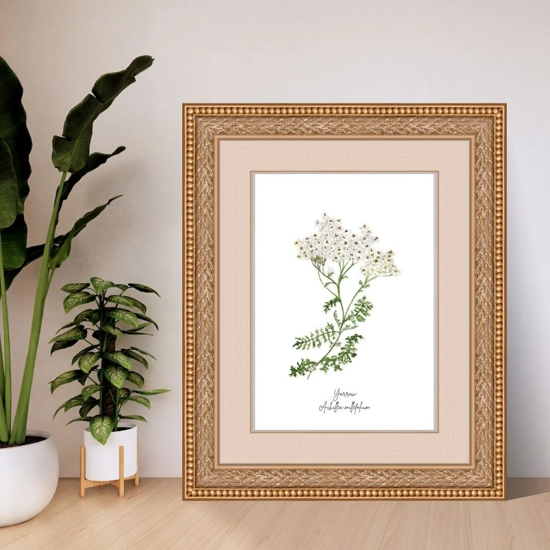 263.jpg