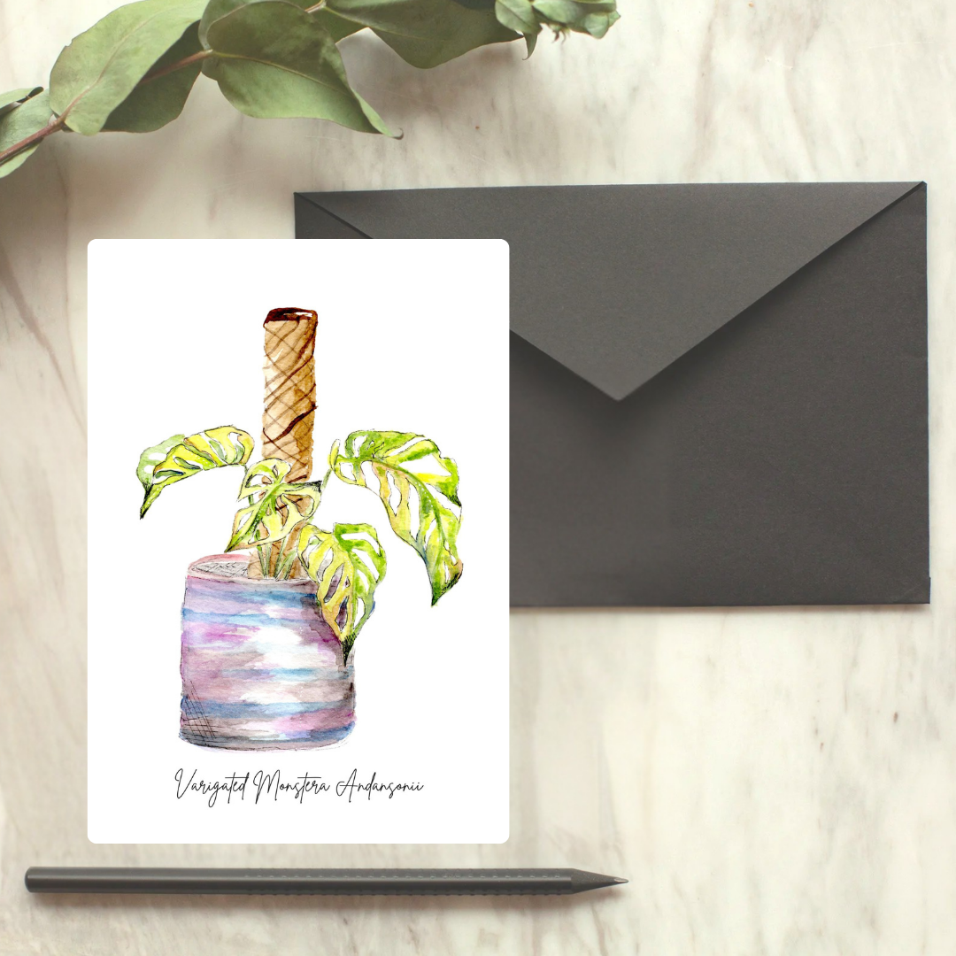 Variegated Monstera Adansonii Greeting Card