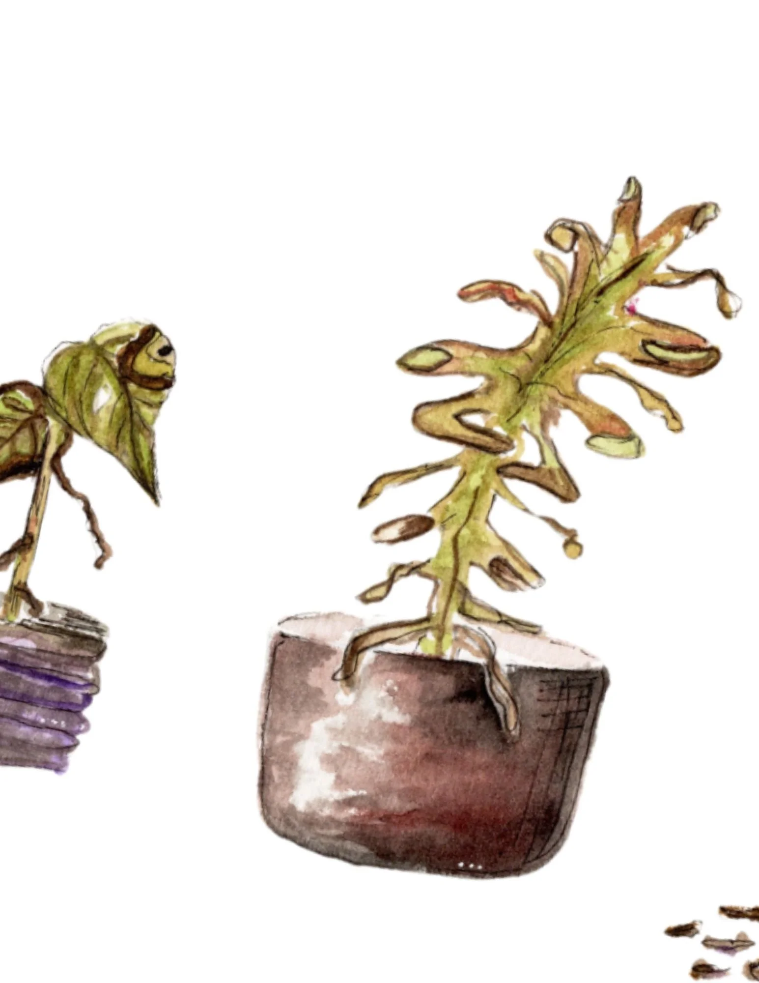 _Zoom In template.jpg (Copy)