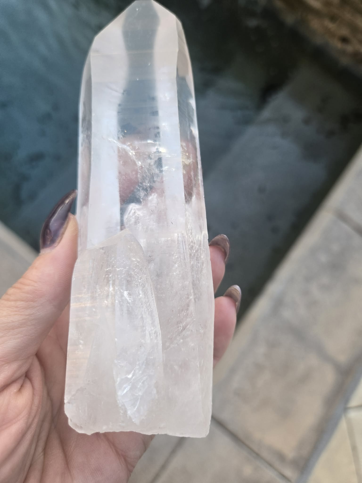 Premium Lemurian.jpg