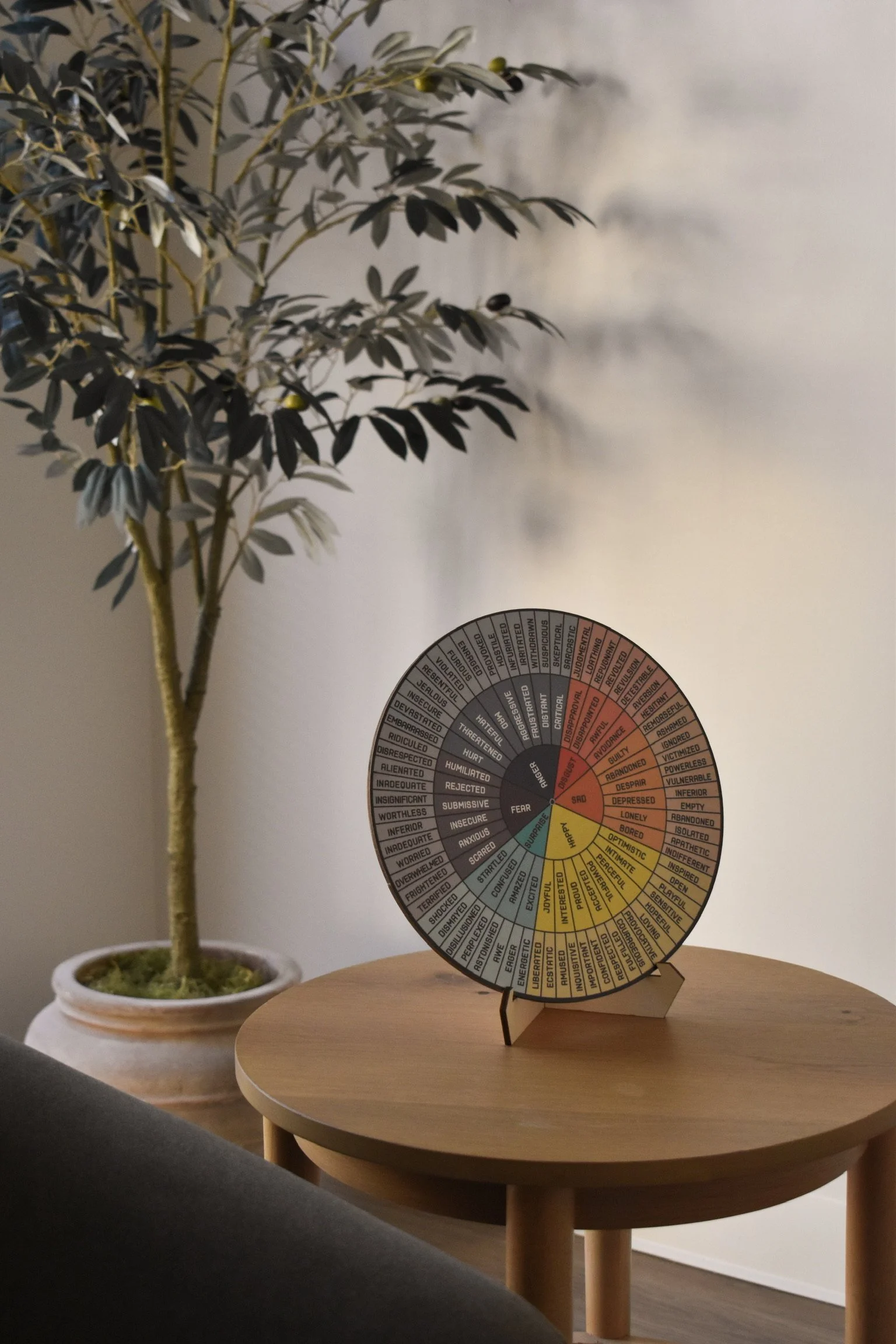 A potted plant with dark green leaves on a wooden table, with a colorful circular emotions chart standing on a small stand on the table.