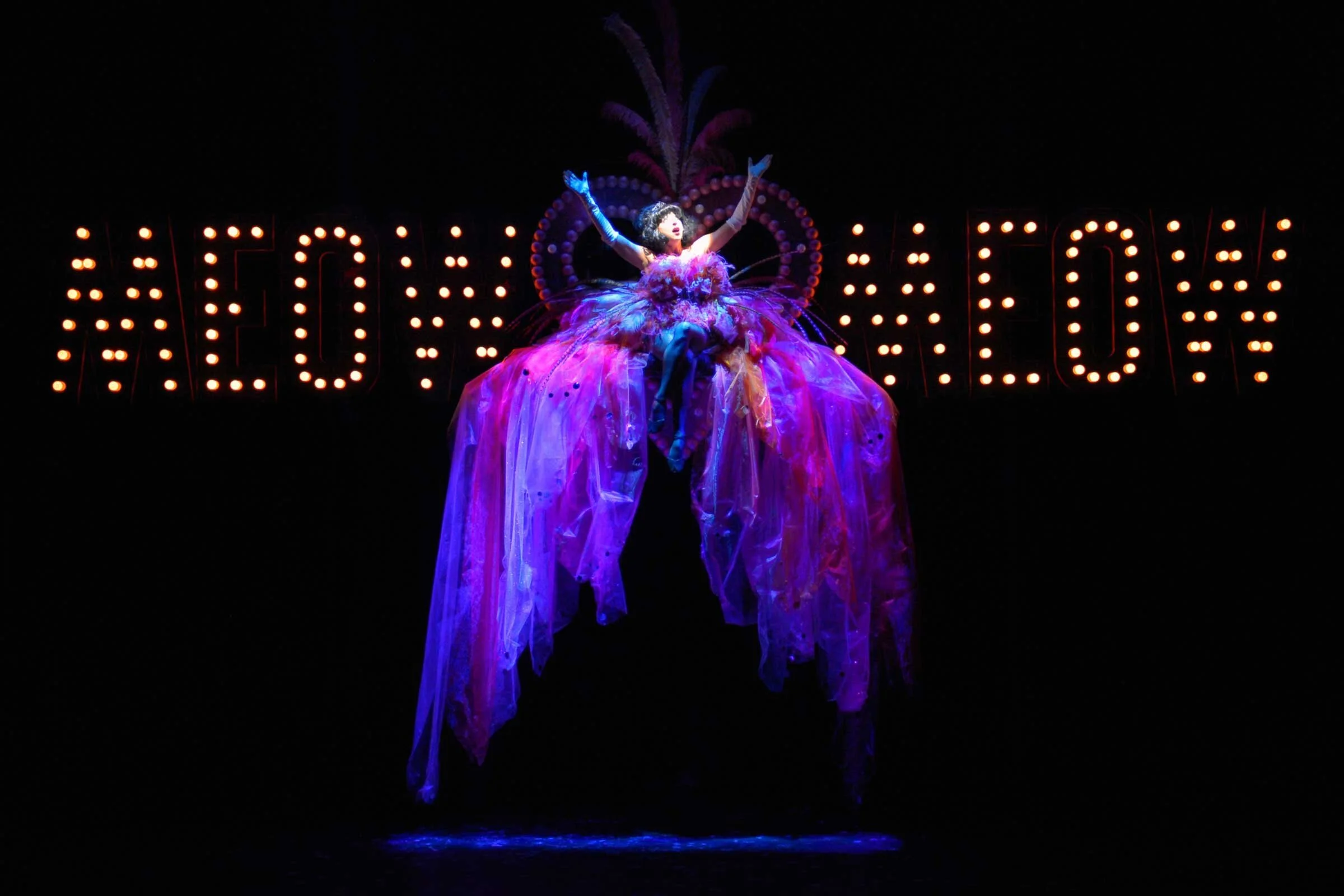 Meow Meow on Sign Purple.JPG