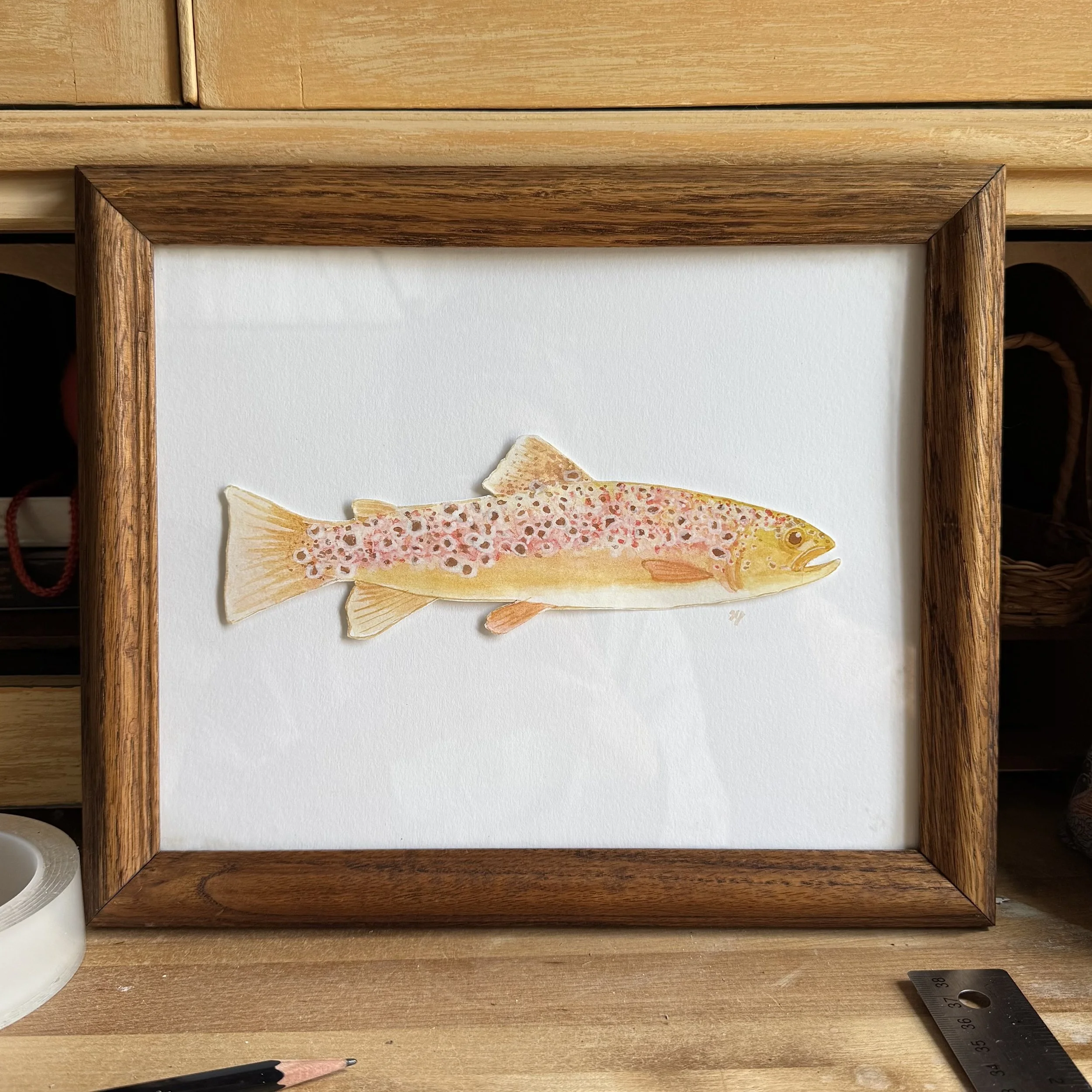 a pink toned brown trout commission framed in a wooden frame