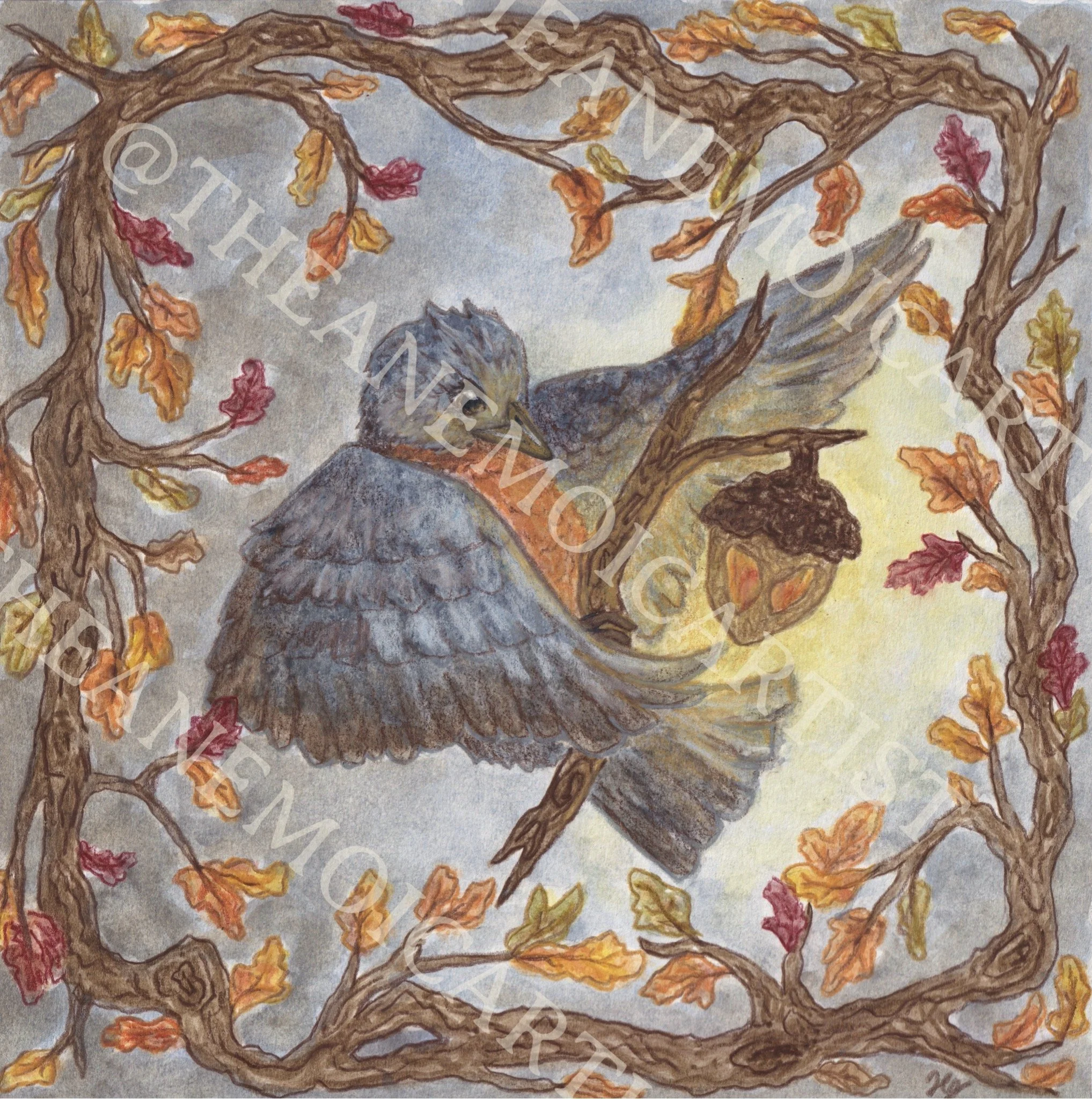 AUTUMN COLLECTION DROPS