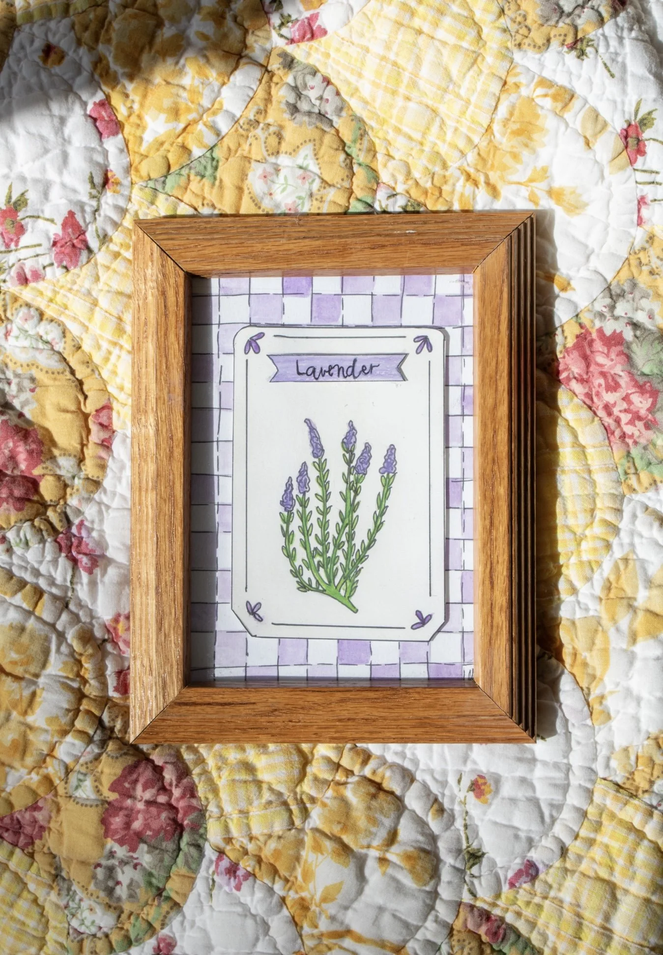 A seed packet inspired watercolor featuring a lavender plant on a purple checkered background