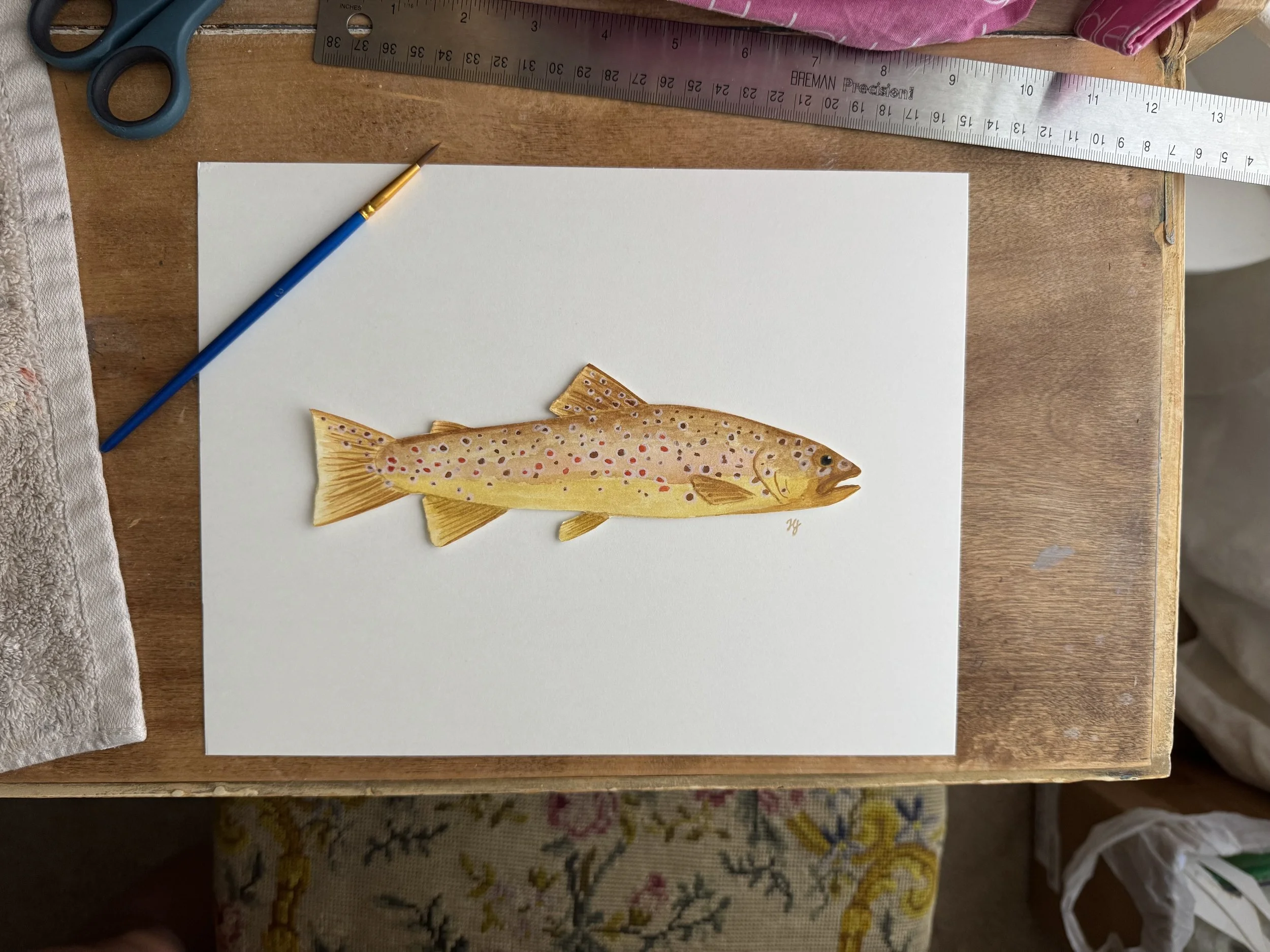 A yellow toned brown trout commission on cream cardstock