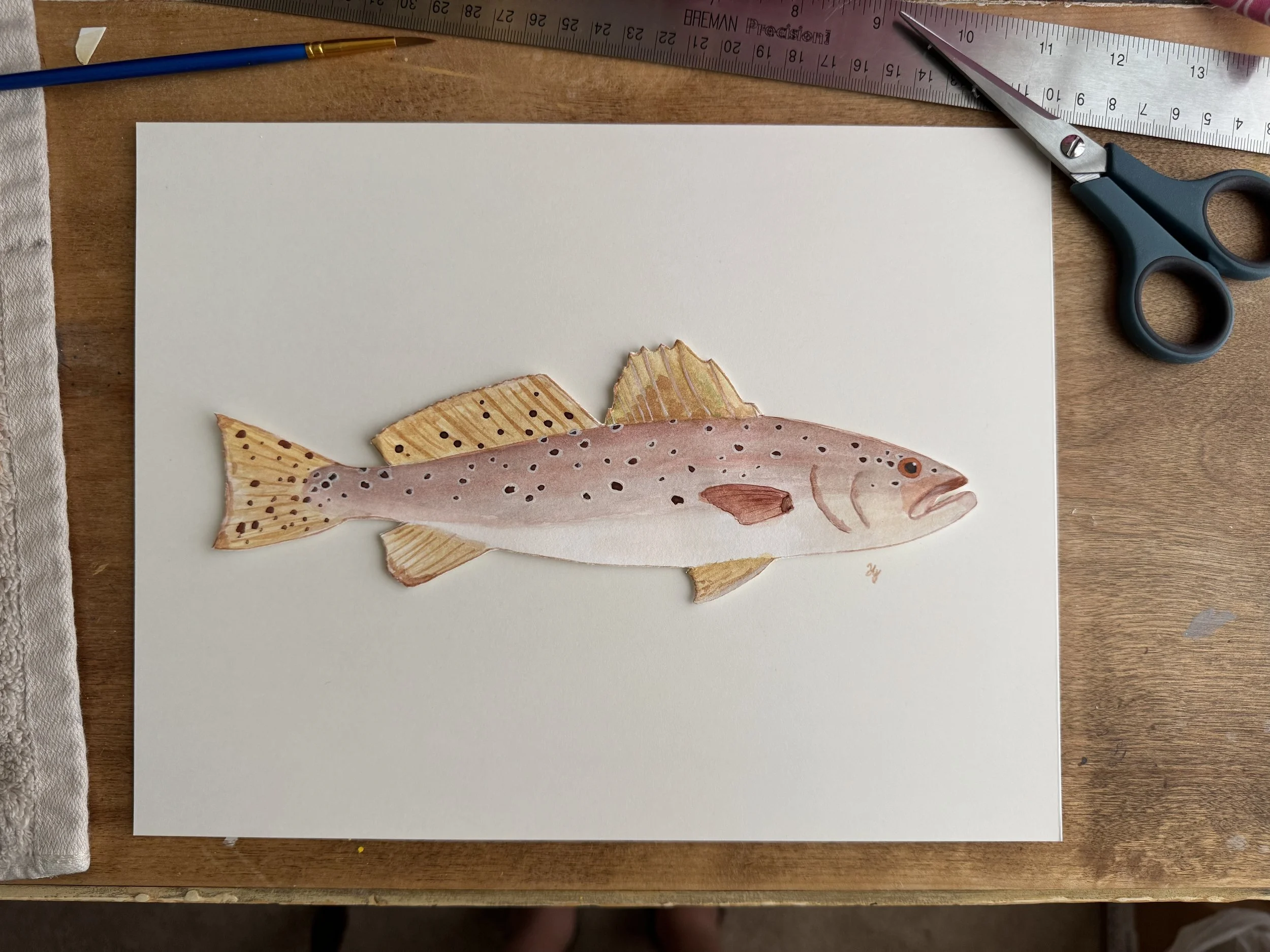 A pink-toned Speckled trout commission on cream cardstock