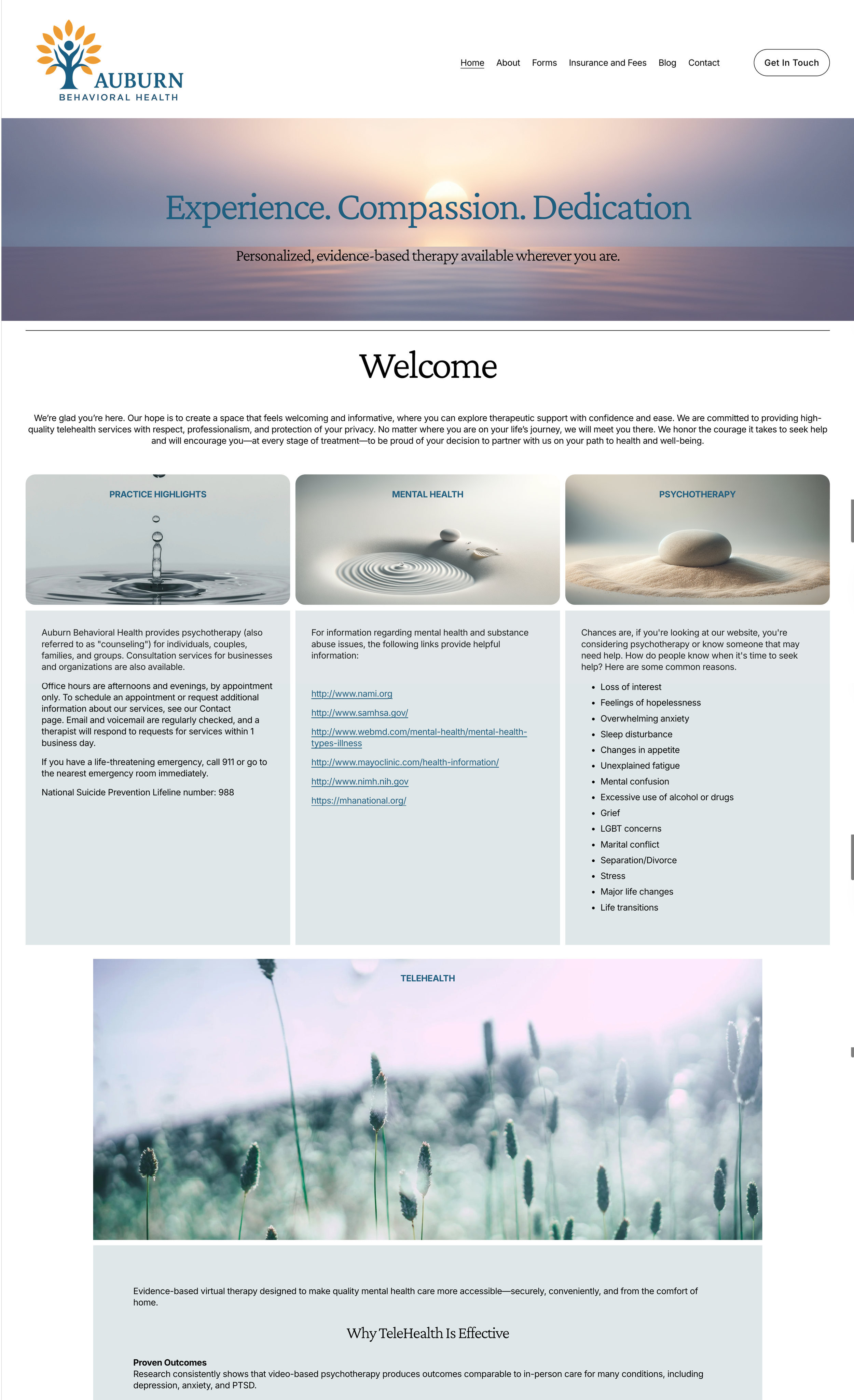 Auburn Behavioral Health