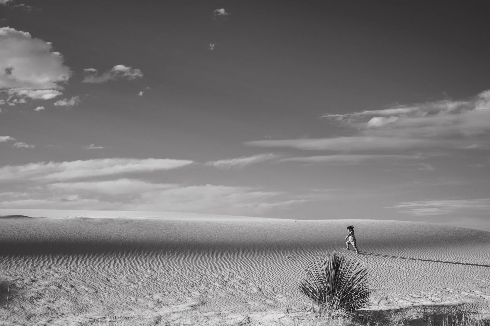 Dalí. White Sands, NM. April 2023.jpg