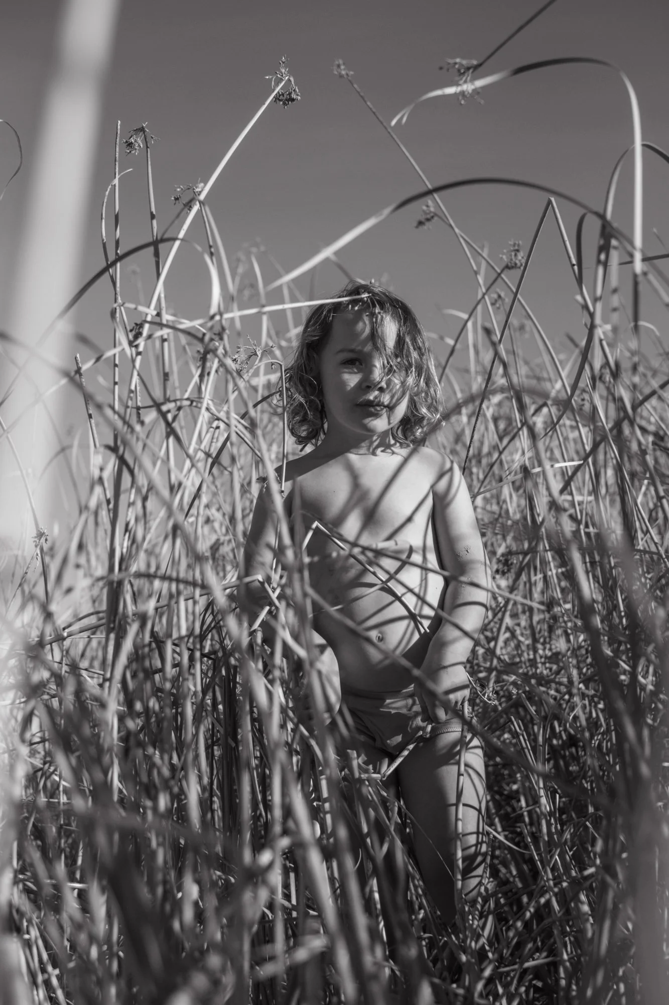 Hide and seek. November 2023.jpg