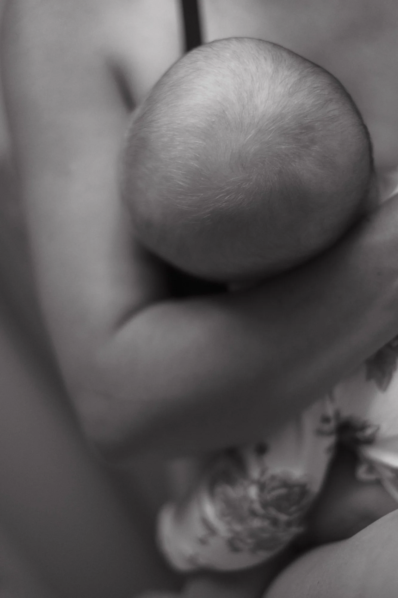 Amalgamated. April 2021.jpg