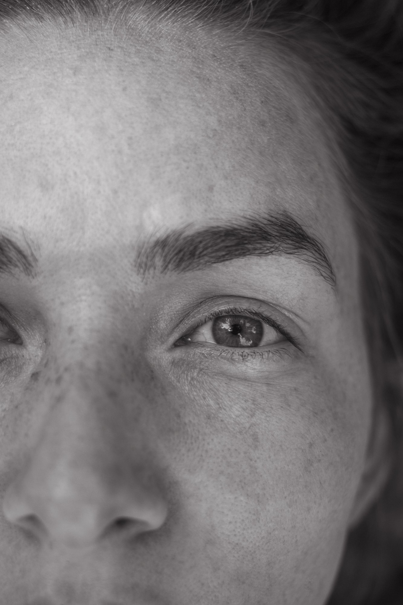 Looking in. July 2018.jpg