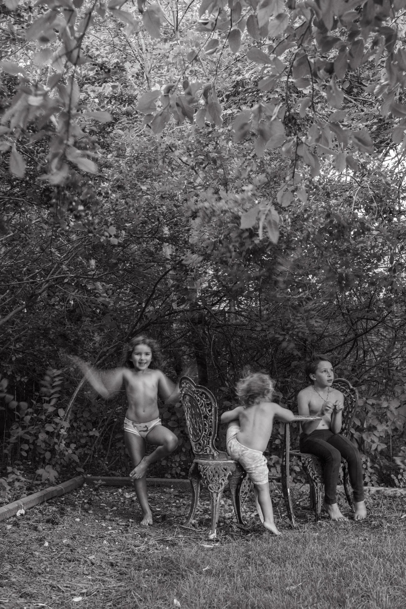 In the neighbors garden. Longmont, CO. September 2022.jpg