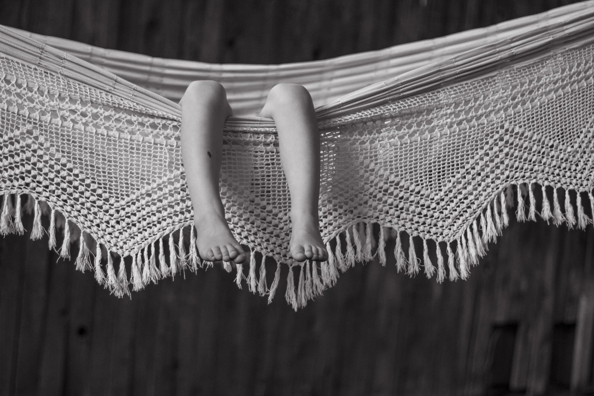 Rumi's feet. August 2018.jpg