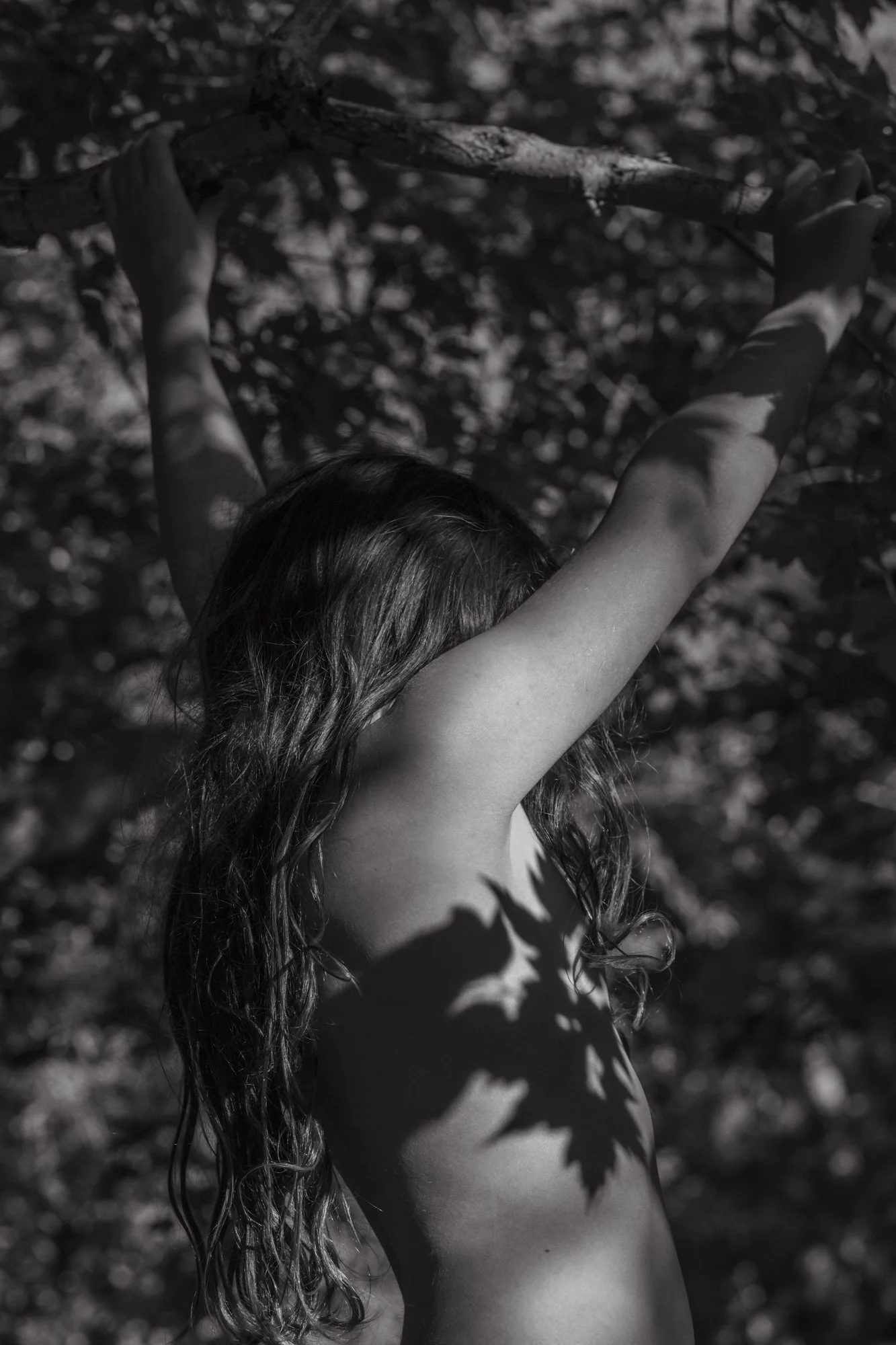 In the light. May 2024.jpg