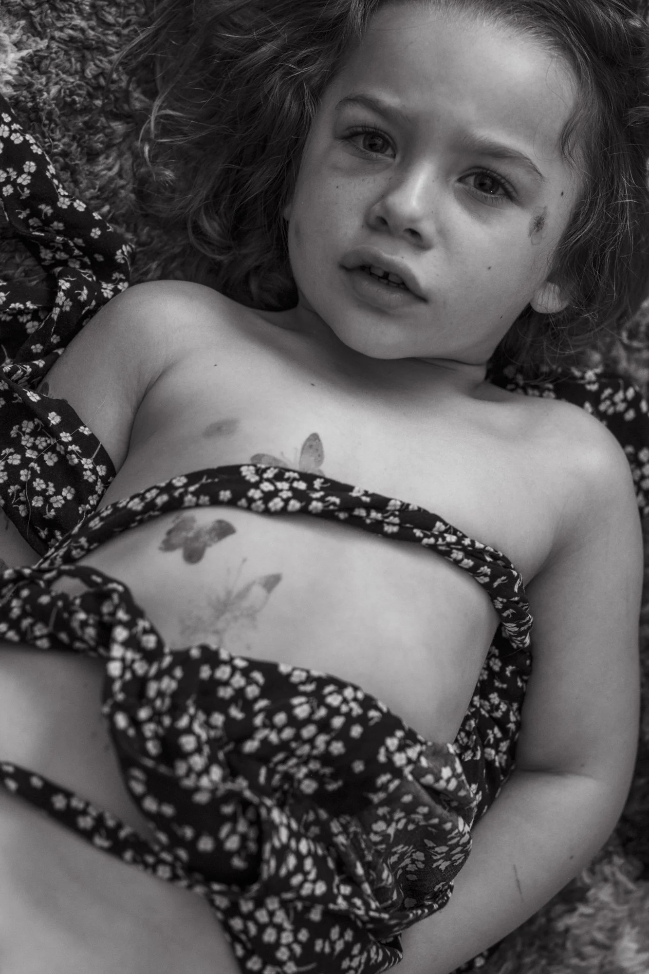 Butterflies. July 2024.jpg