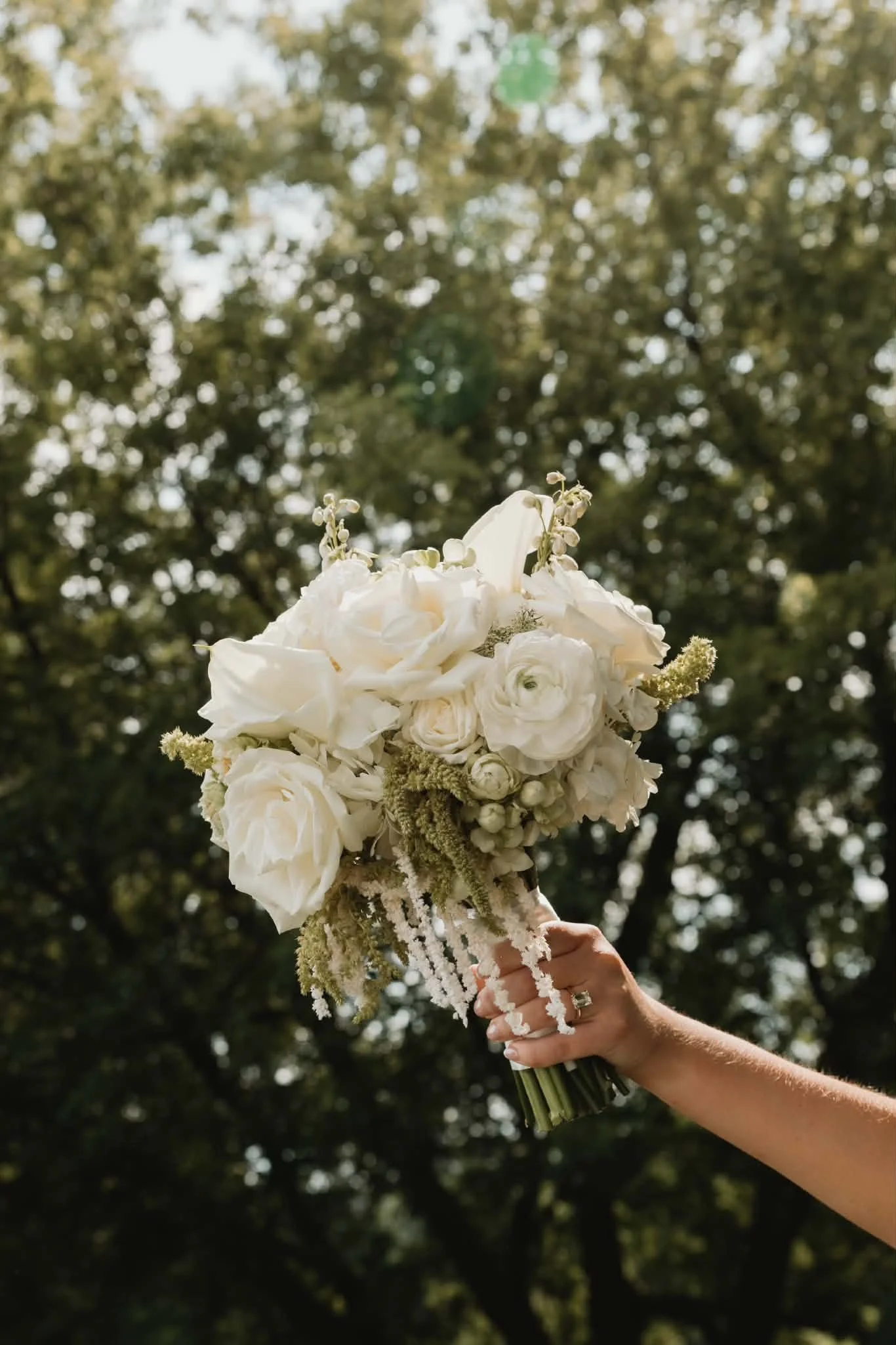 Photos by: Hannah Noel Photography