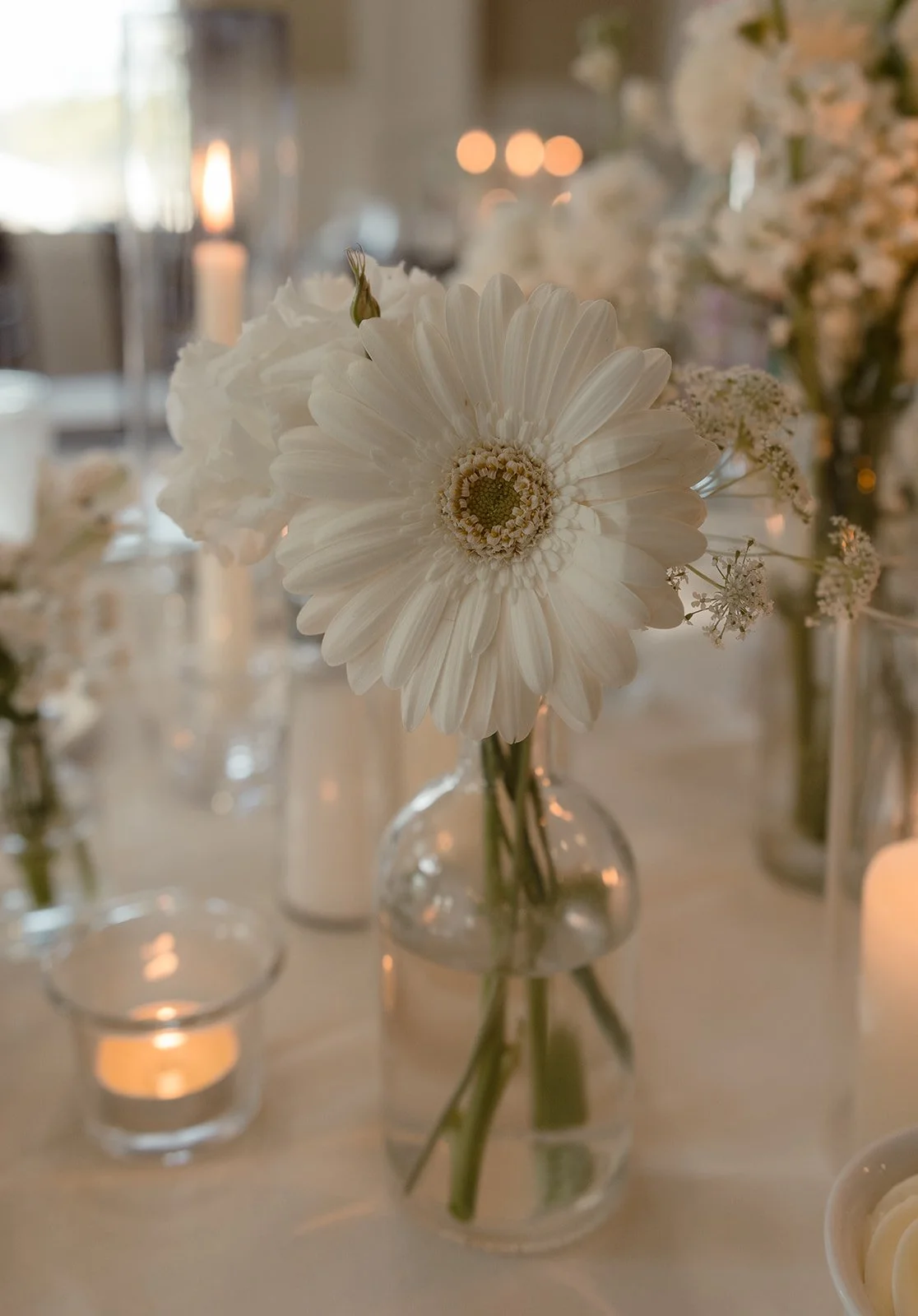 Photos by: Meg Fallon Photo
