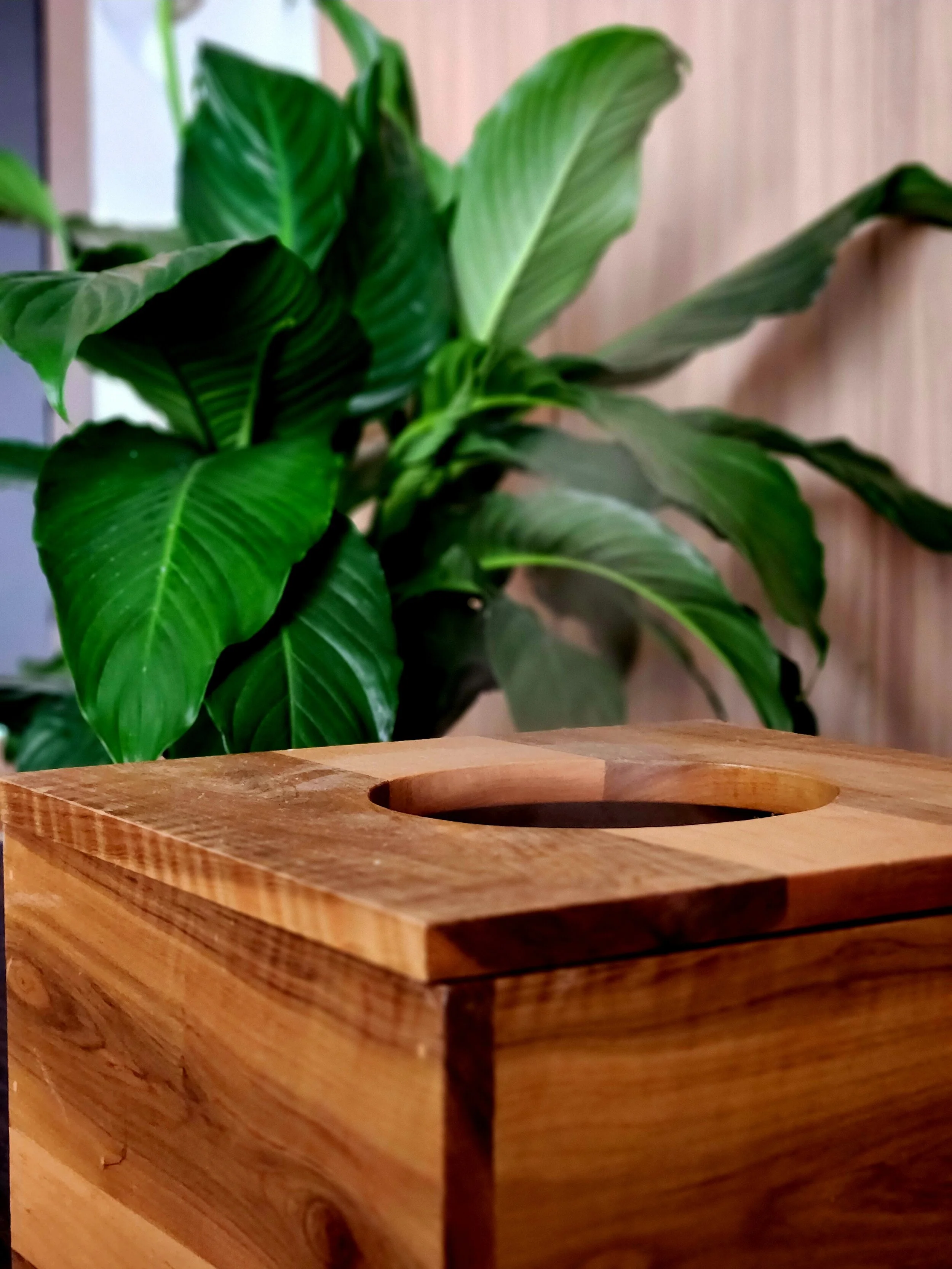 Single Yoni Steam Session