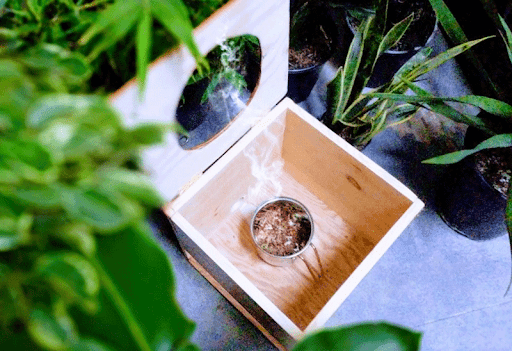 1 to 1 Coaching--A 4 week program