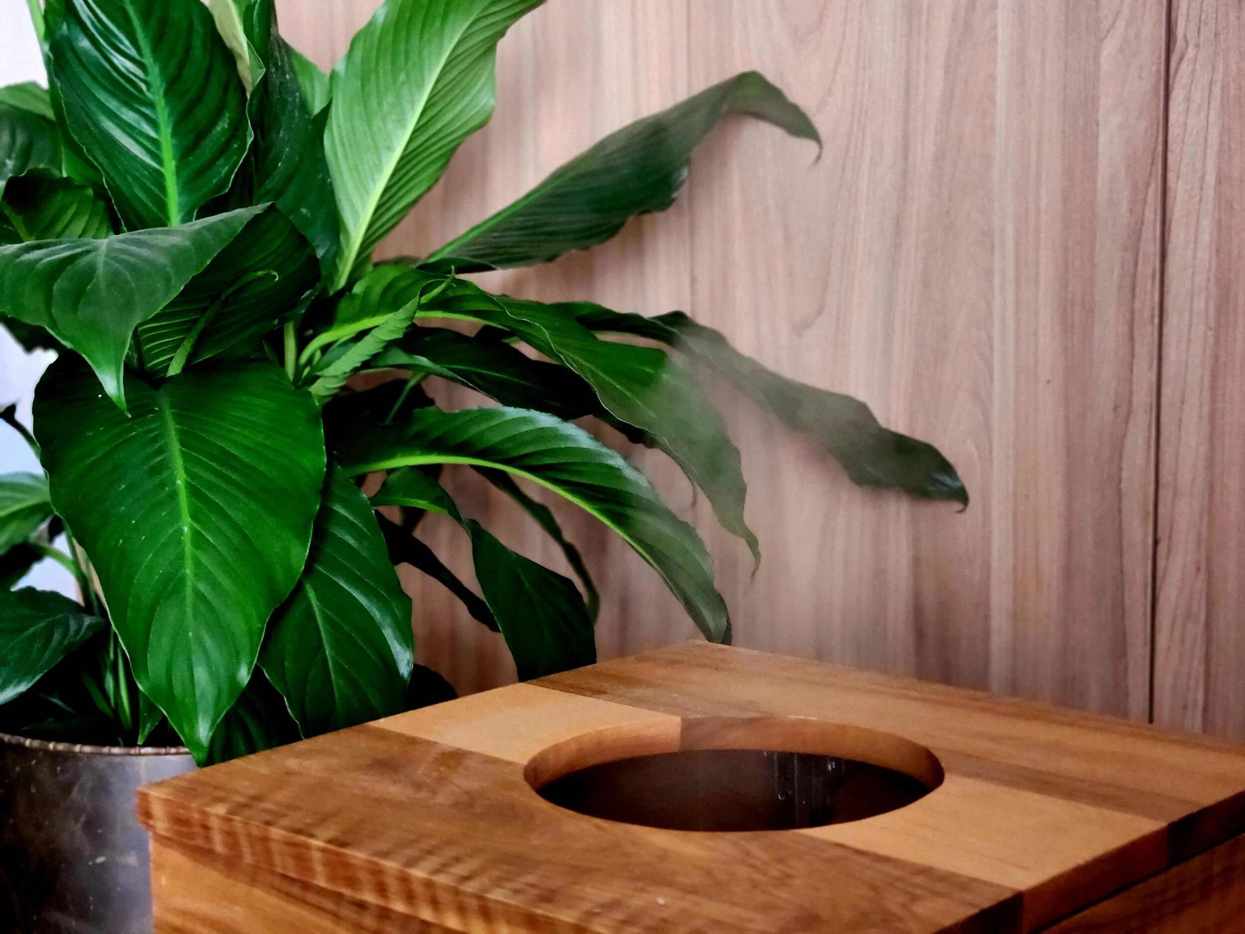 Steam Package: The Trio