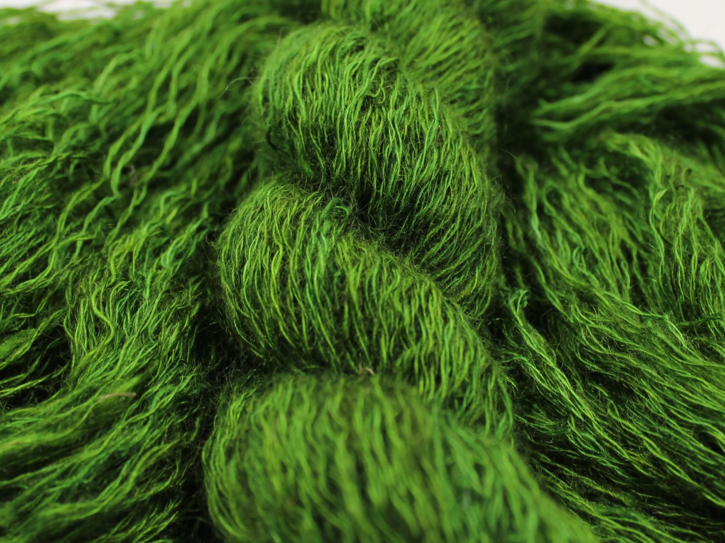 12. Cedar Tree 1.JPG