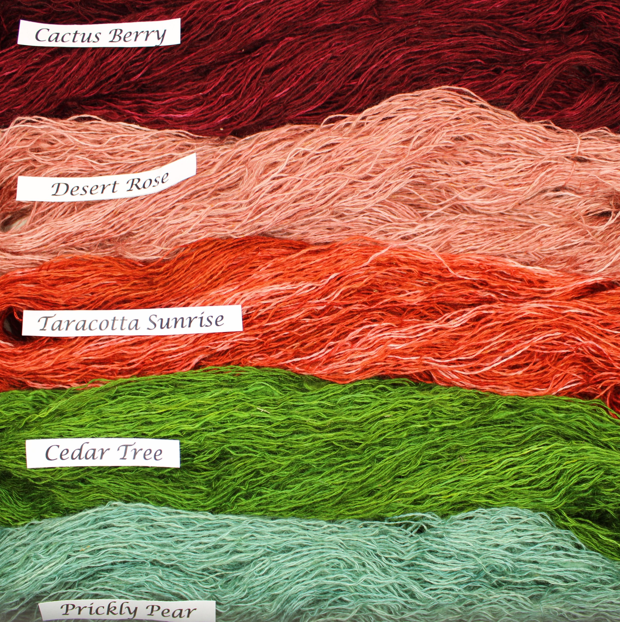 Desert Collection 3.JPG