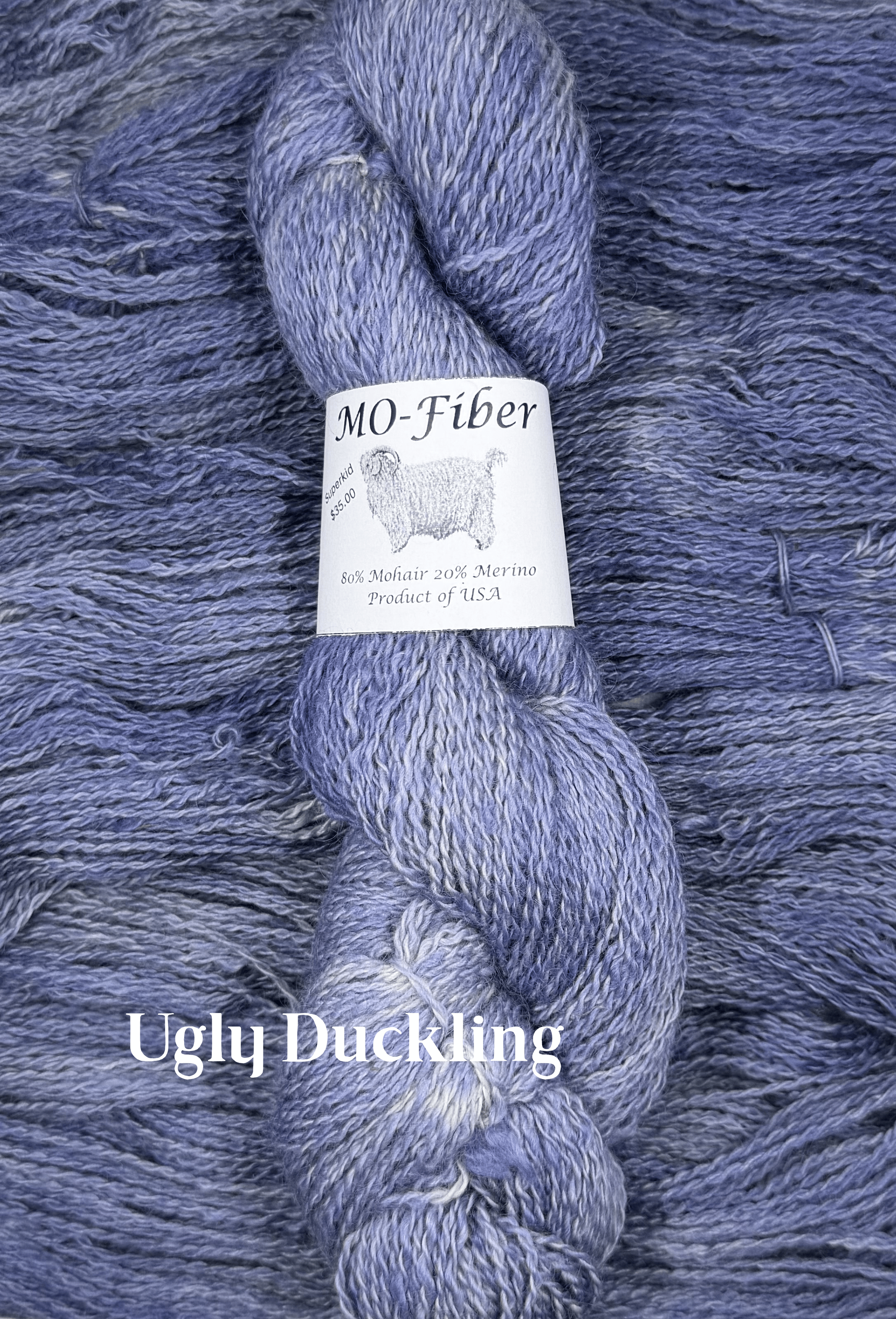 Ugly Duckling.png