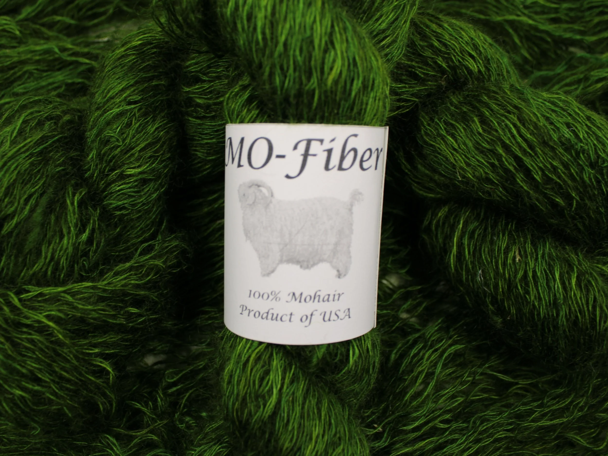 11. Cedar Tree 2.JPG