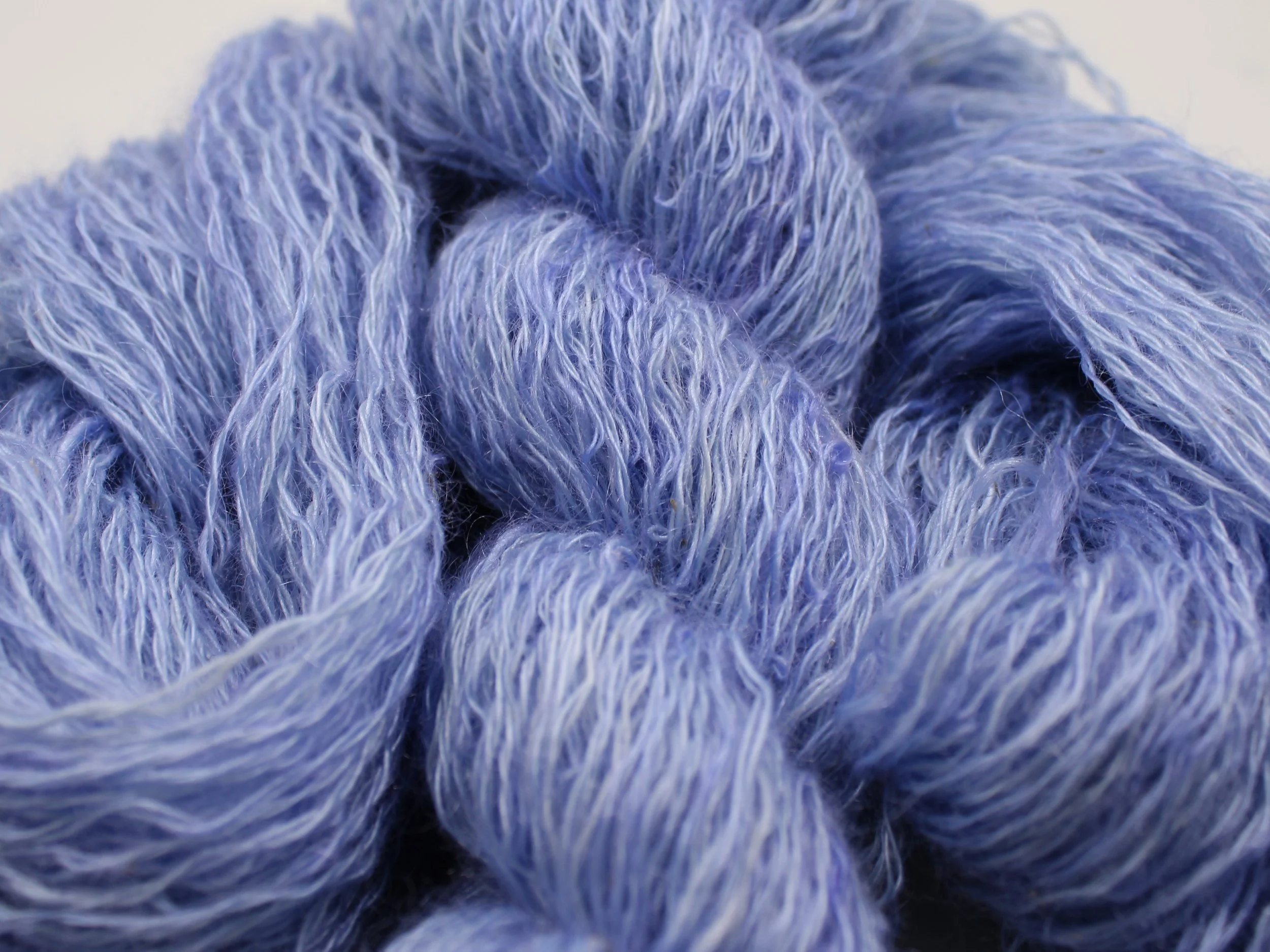 16. Moon Flower 1.JPG