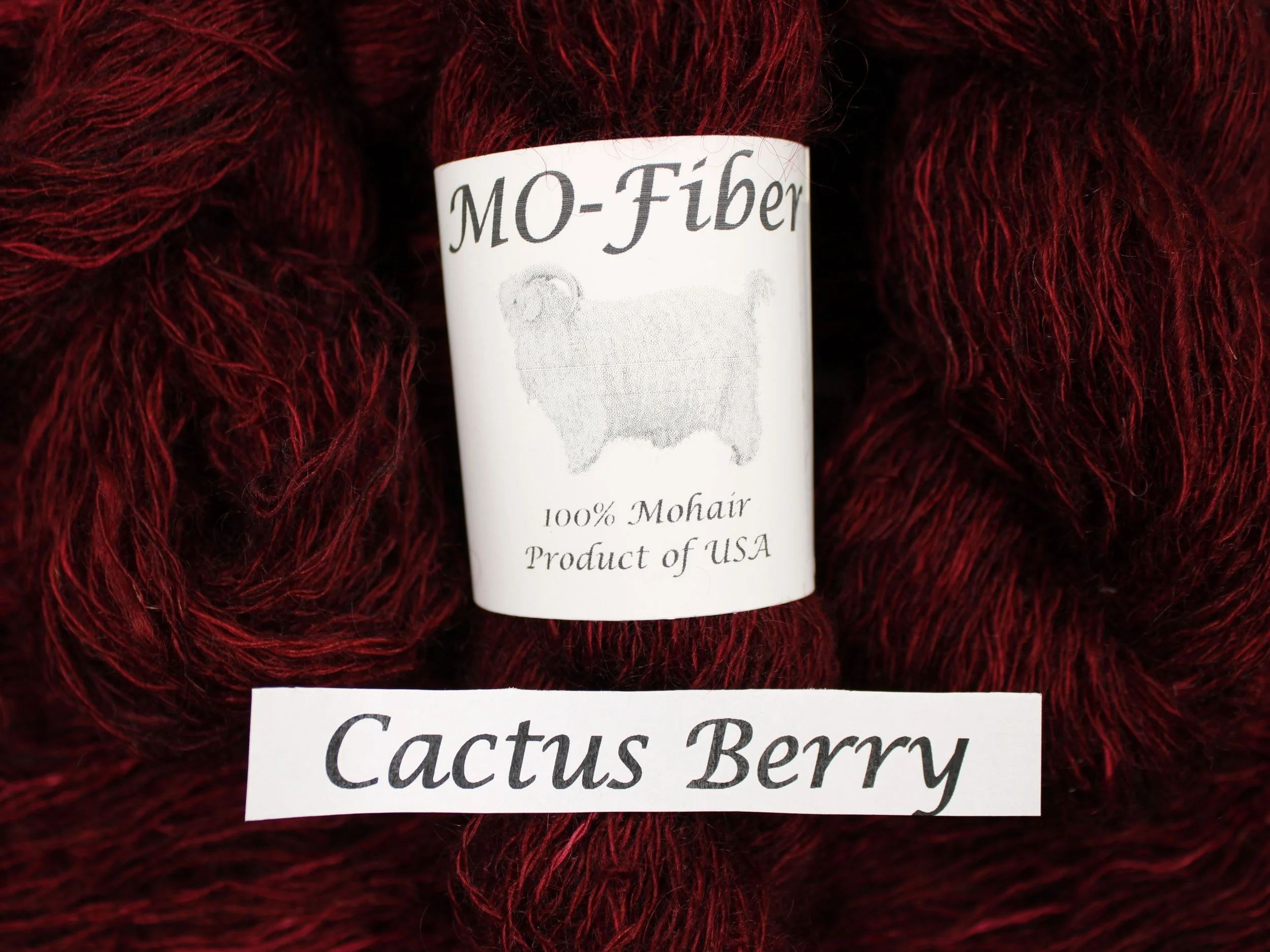 3. Cactus Berry 3.JPG