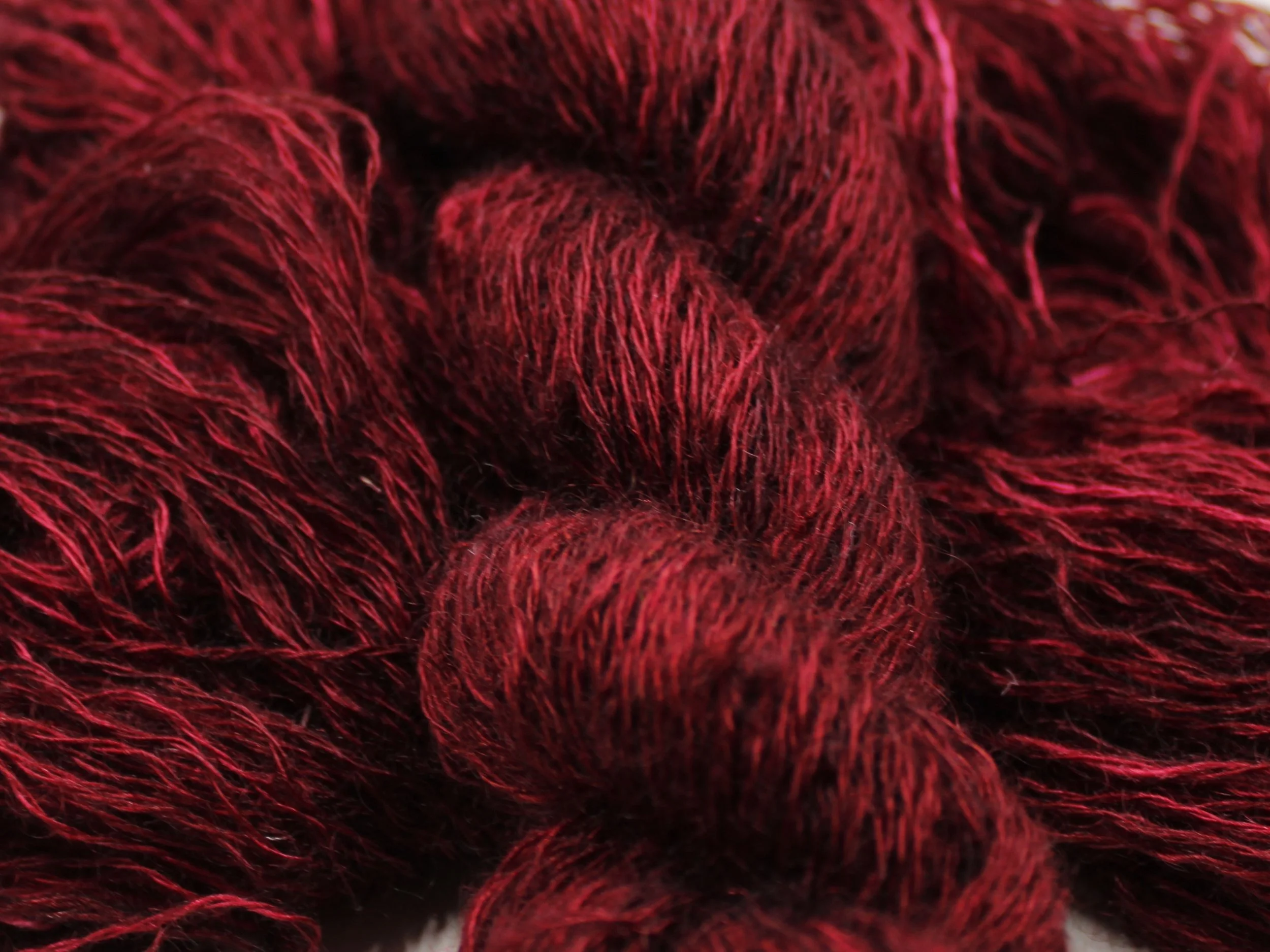 2. Cactus Berry 1.JPG