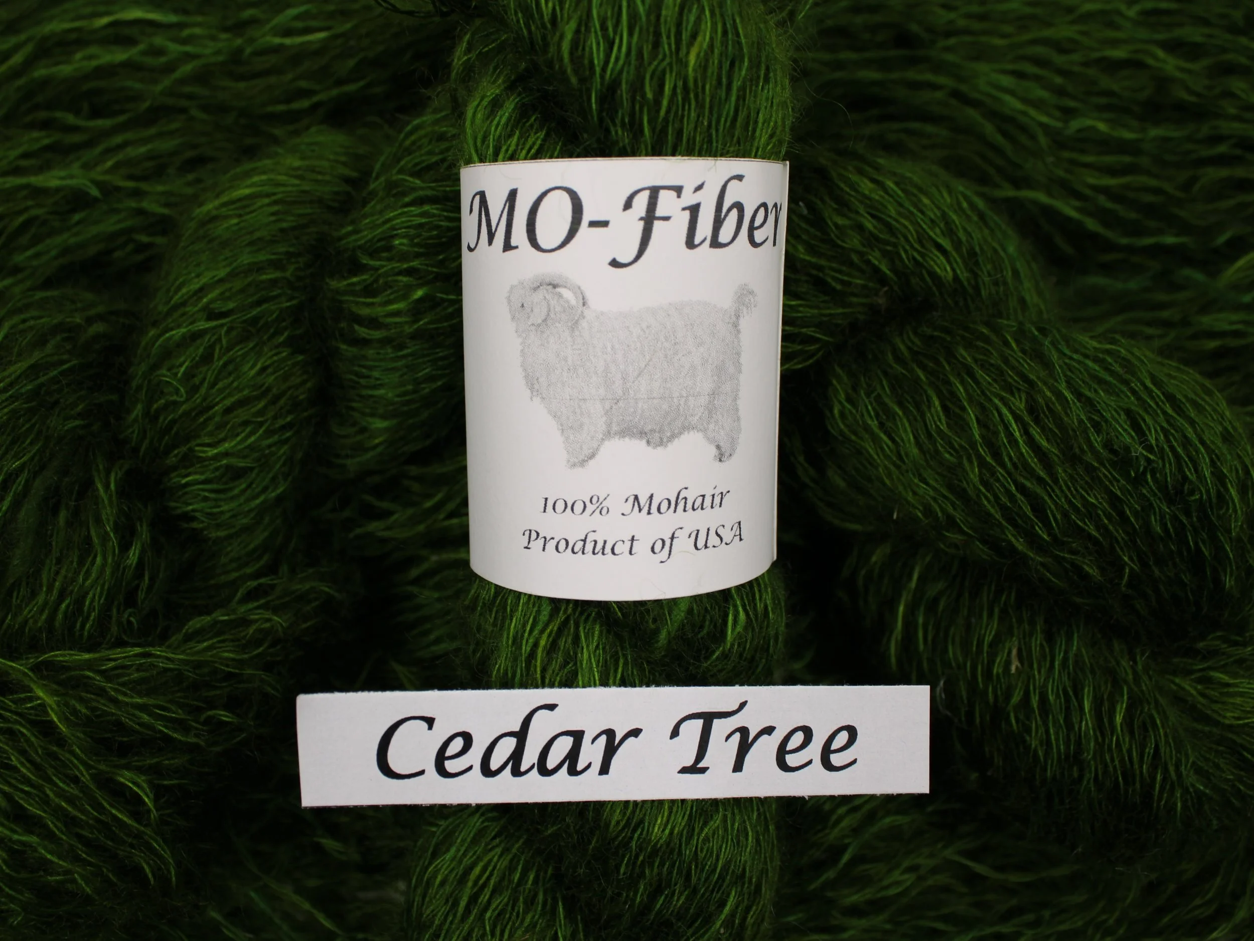 13. Cedar Tree 3.JPG