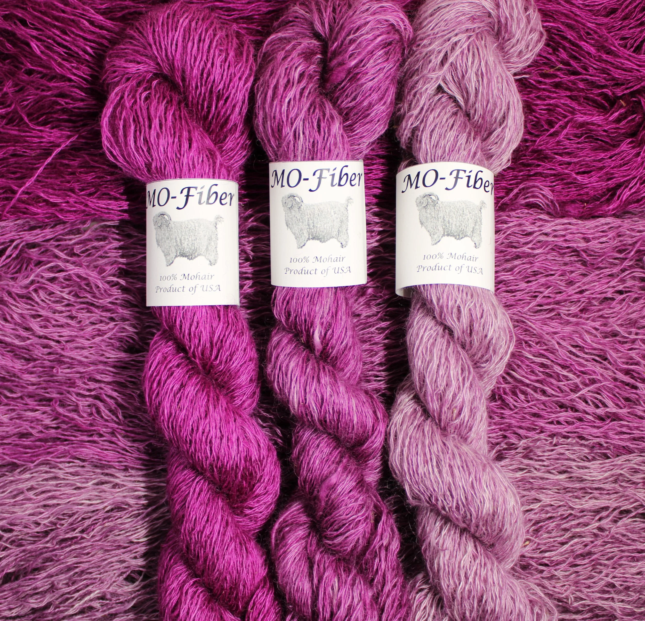 3. Purple Collection 1.JPG