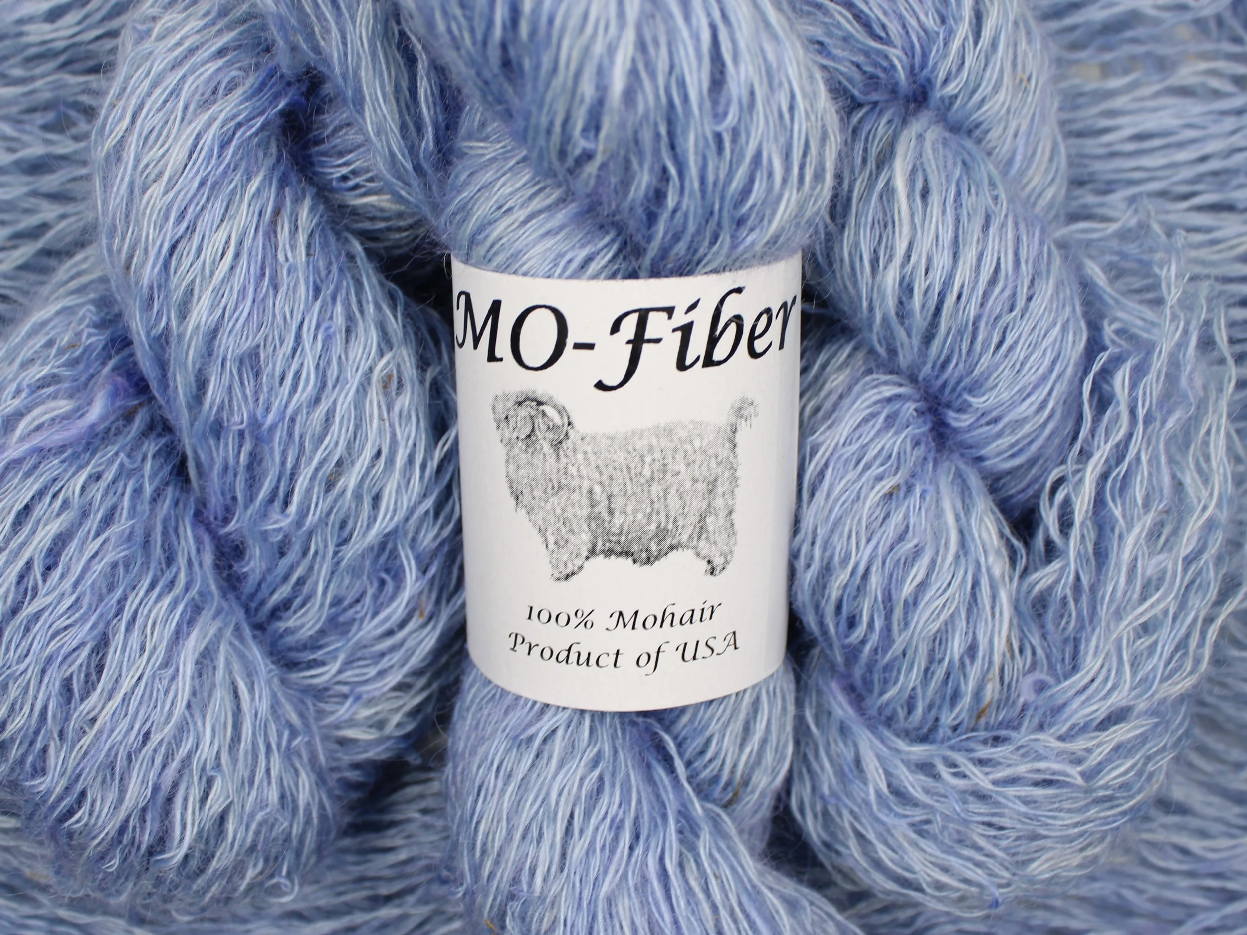 15. Moon Flower 2.JPG