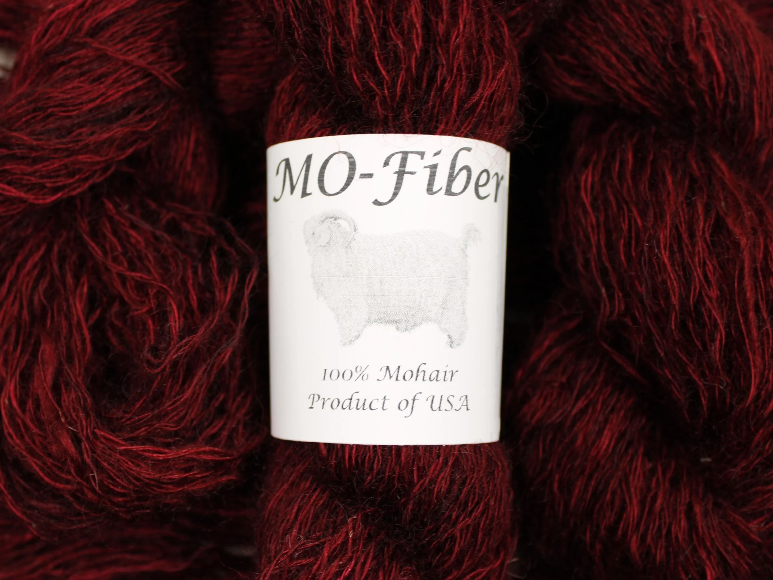 1. Cactus Berry 2.JPG