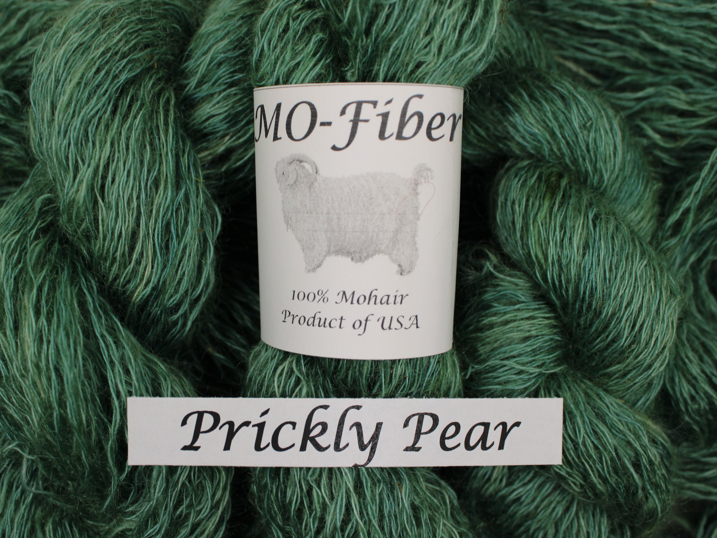 16. Prickly Pear 3.JPG