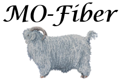 MO-Fiber