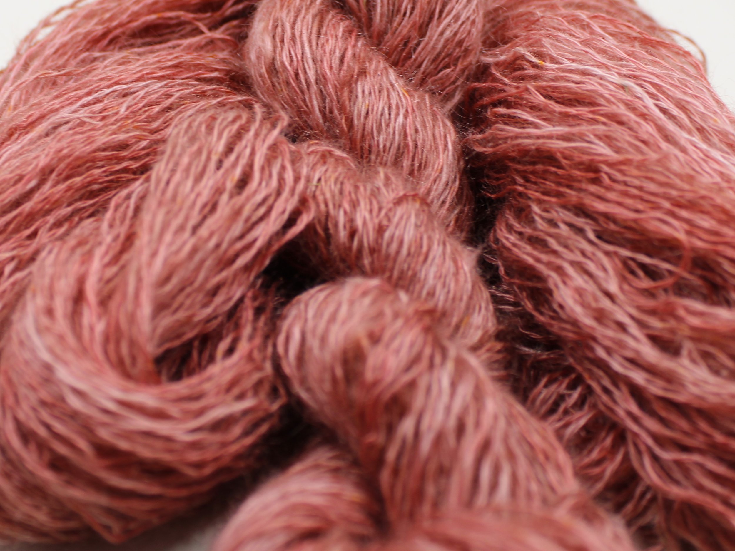 5, Desert Rose 1.JPG