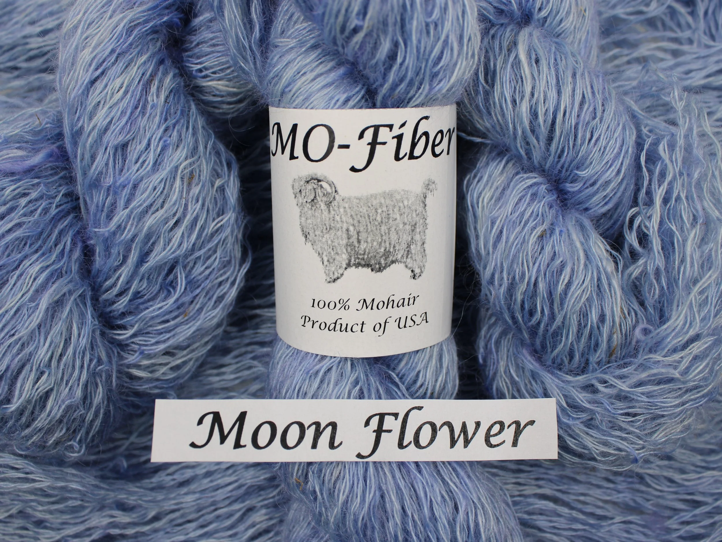 14. Moon Flower 3.JPG