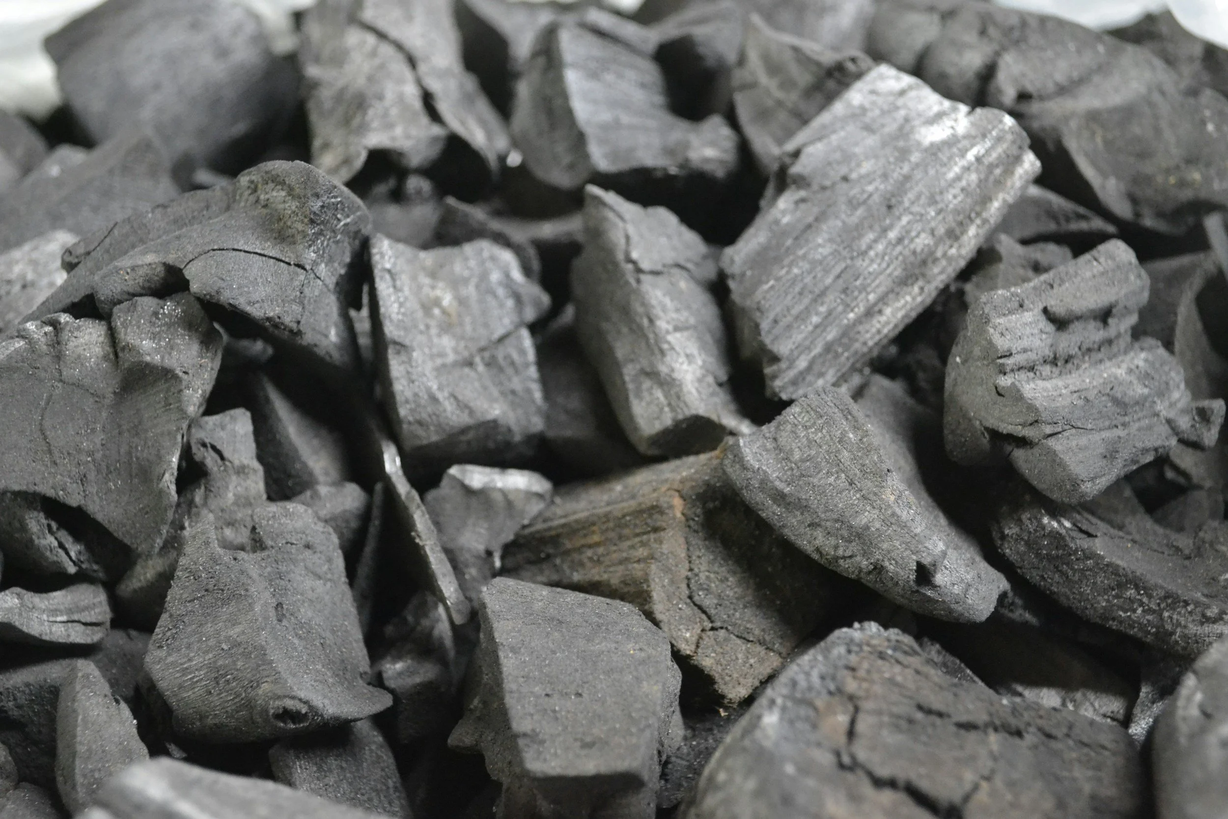 Activated Charcoal: Worth the try?