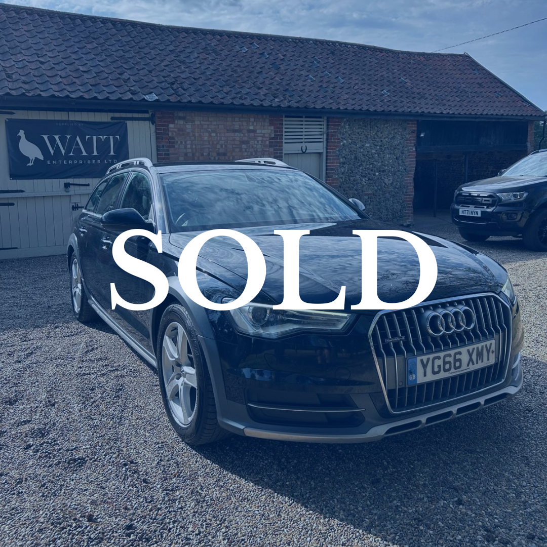 SOLD-18.png
