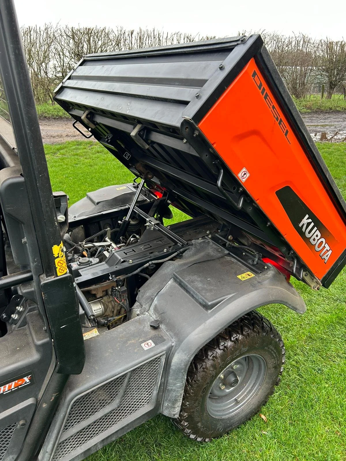 WhatsApp Image 2026-02-13 at 09.27.31.jpeg