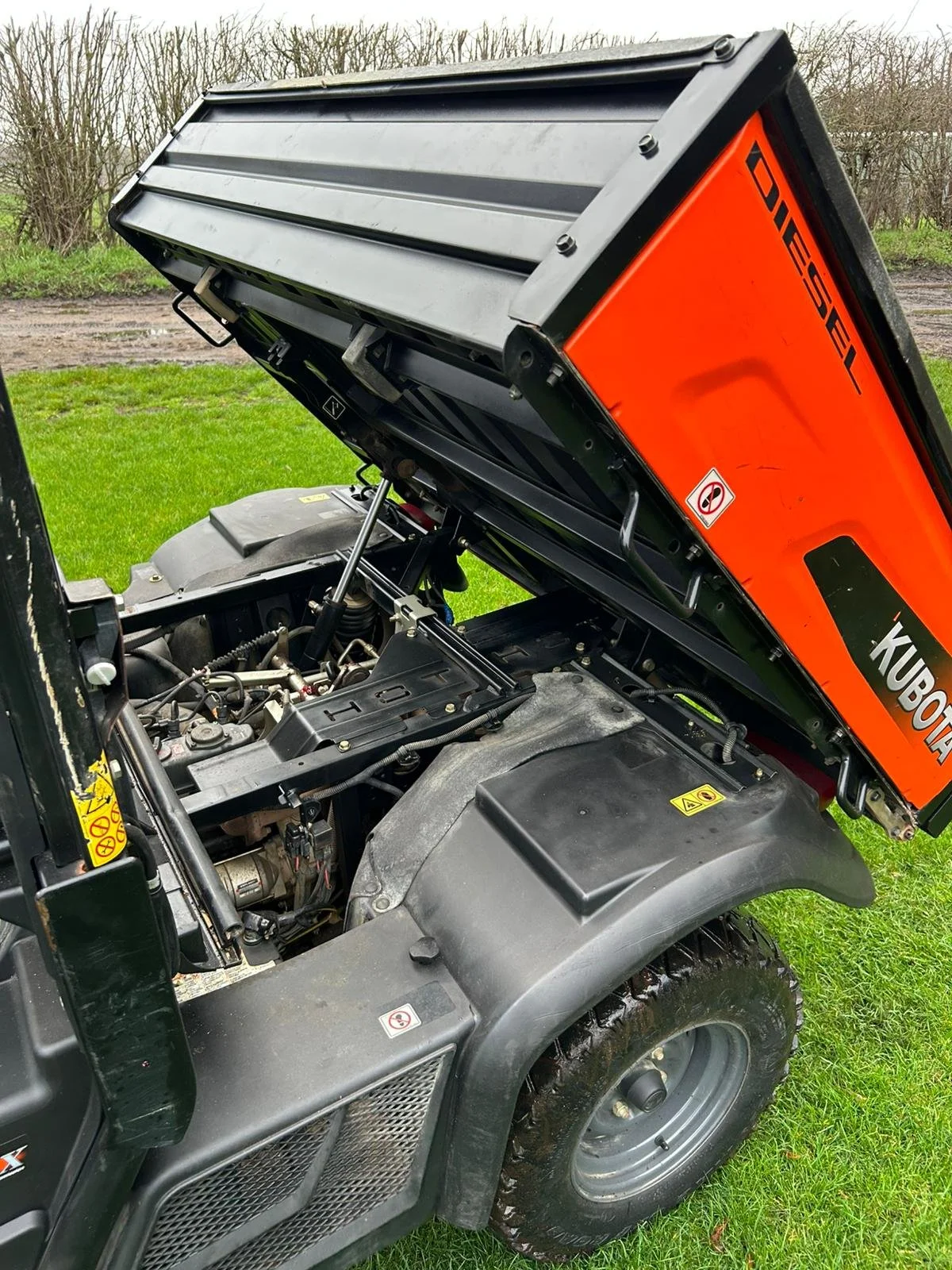 WhatsApp Image 2026-02-13 at 09.28.44 (6).jpeg