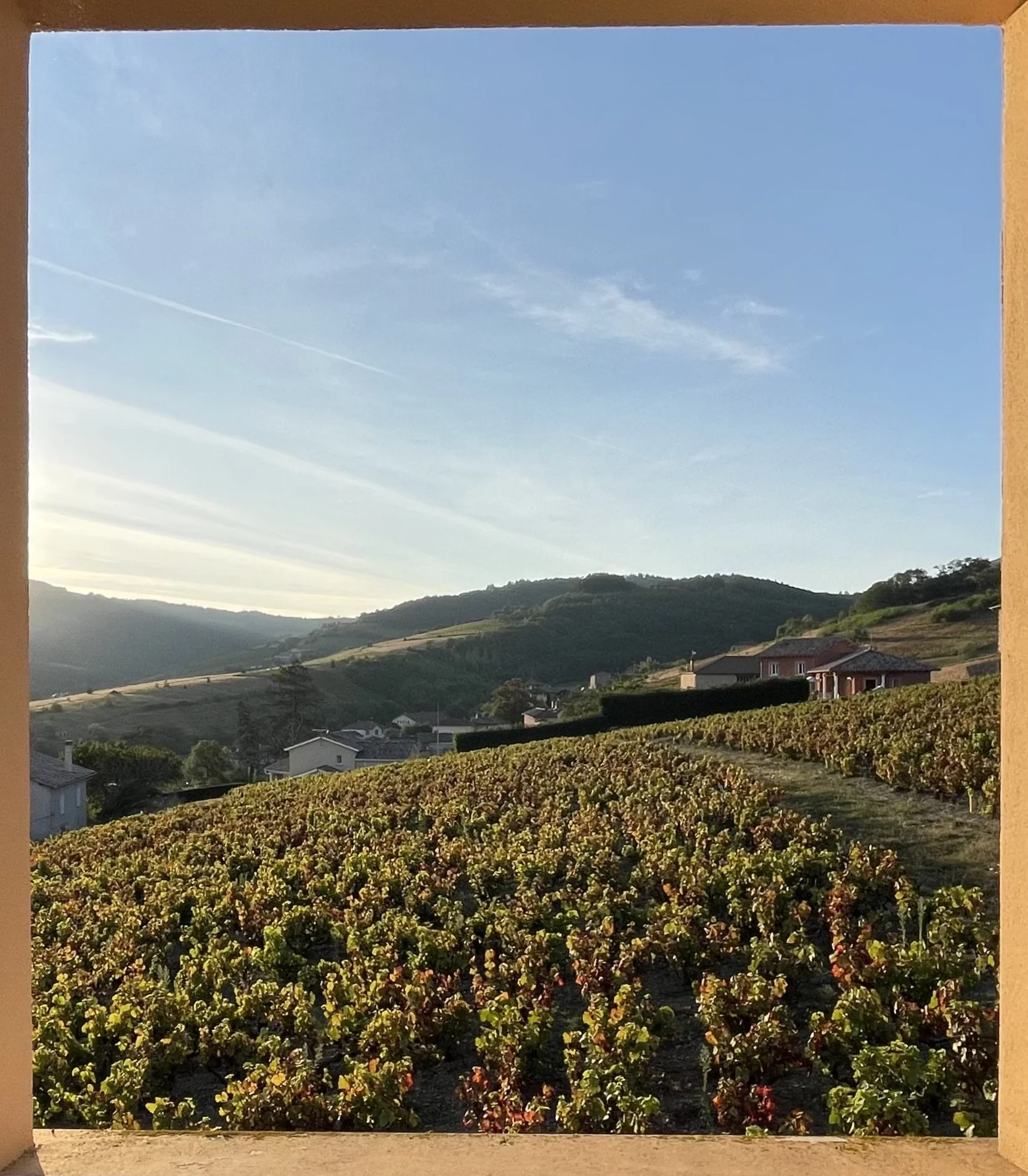 Wine Country France.jpeg