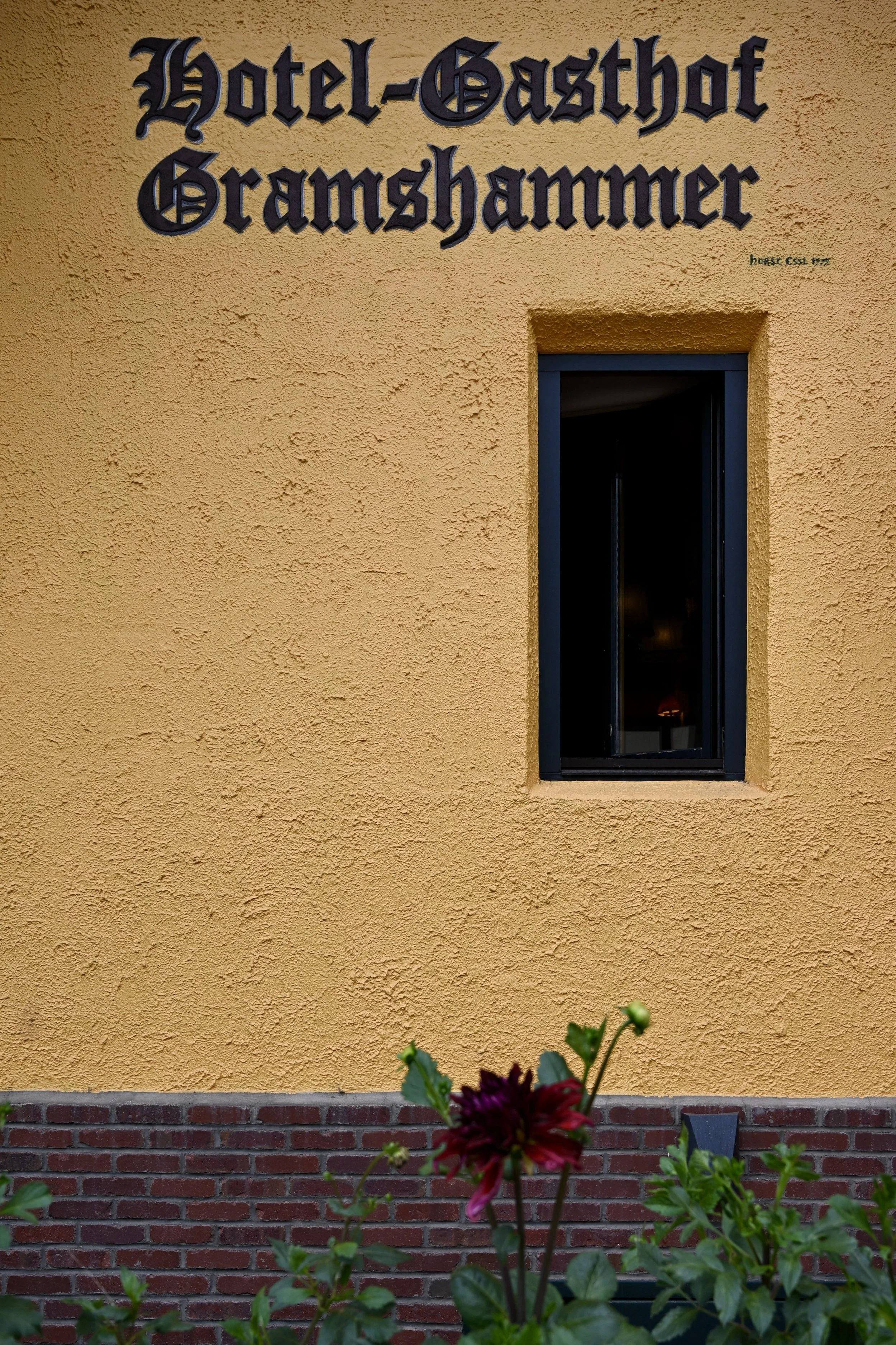 Through the window