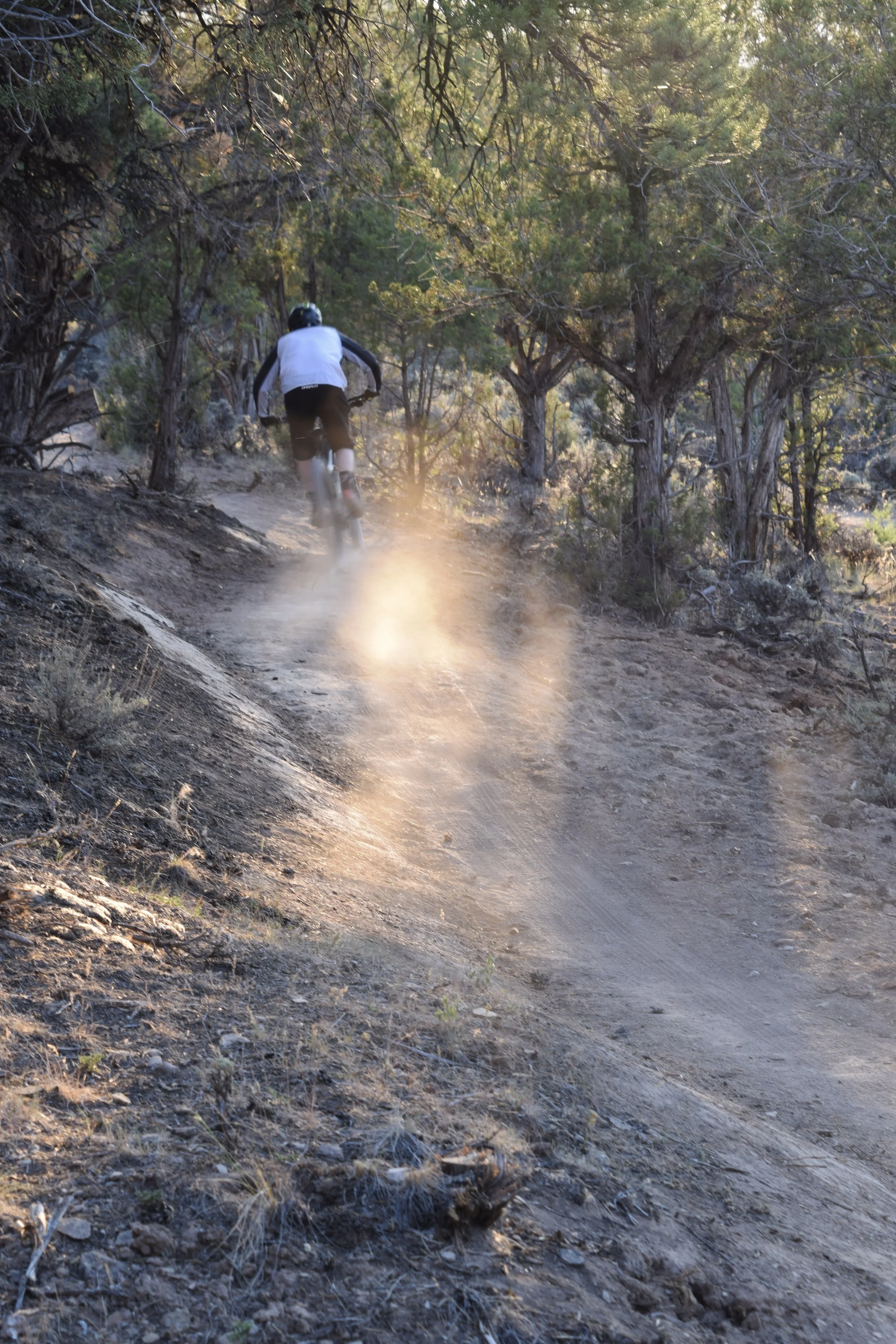 Mountain Biking into the Sunset