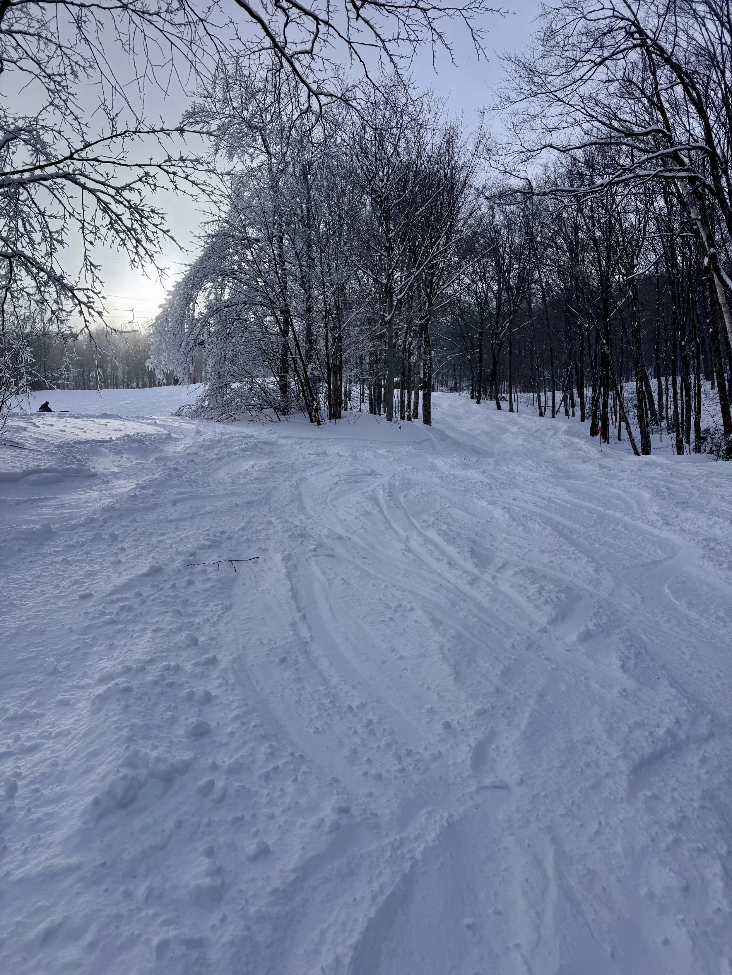 Snow at Stowe.jpeg