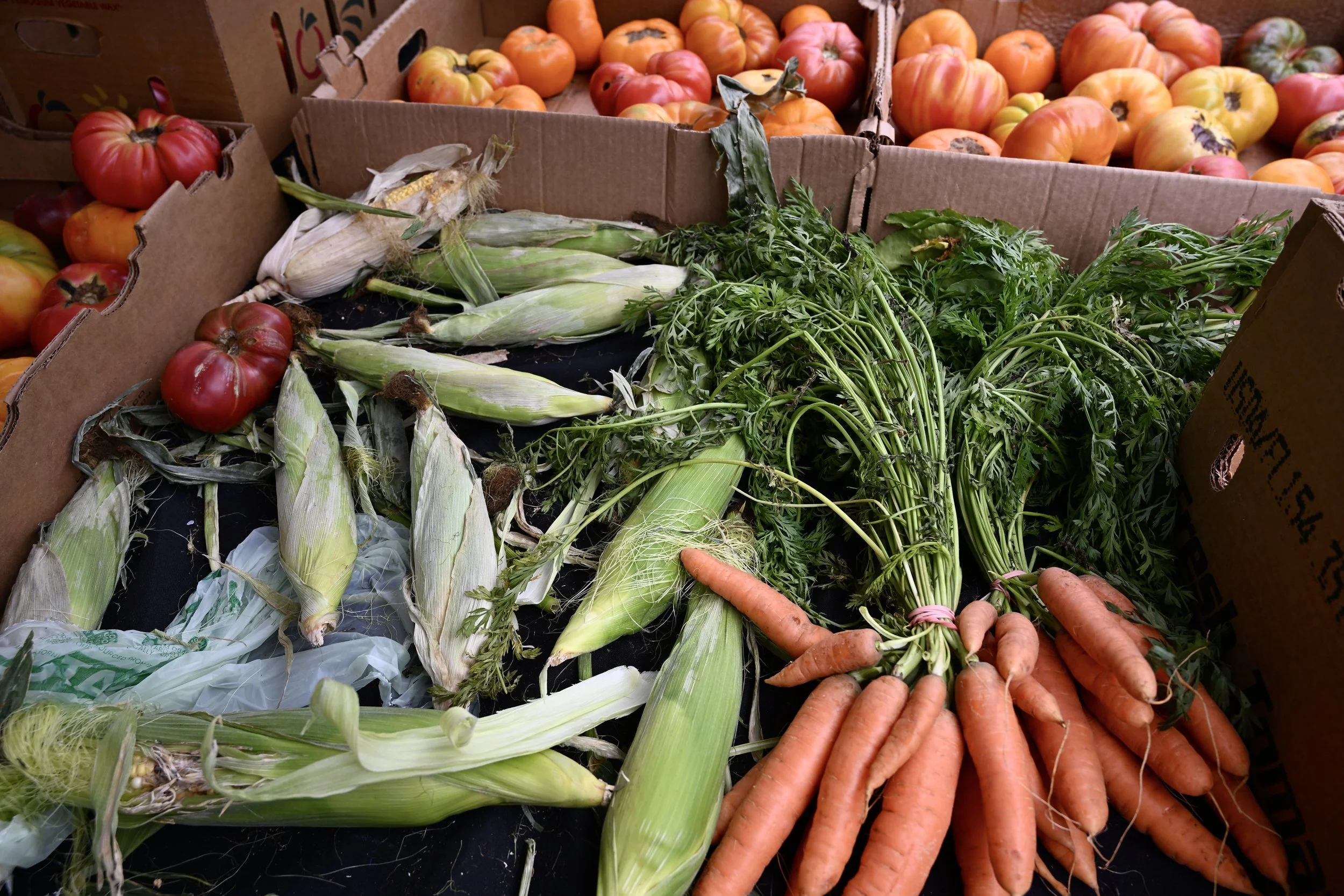 Vail Farmers Market
